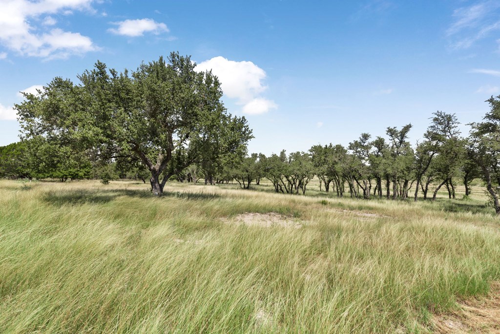 Fredericksburg, Texas, 78624, United States, 3 Bedrooms Bedrooms, ,3 BathroomsBathrooms,Residential,For Sale,1943350