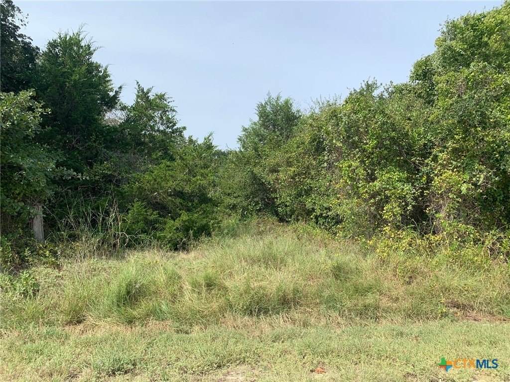Chilton, Texas, 76632, United States, ,Residential,For Sale,1942716