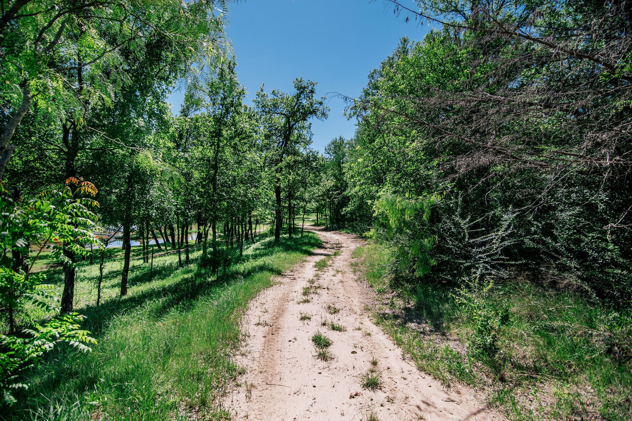  9325 FM 428, Aubrey, TX 76227 - 物件實景