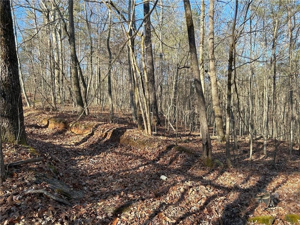 Dawsonville, Georgia, 30148, United States, ,Land,For Sale,1978894