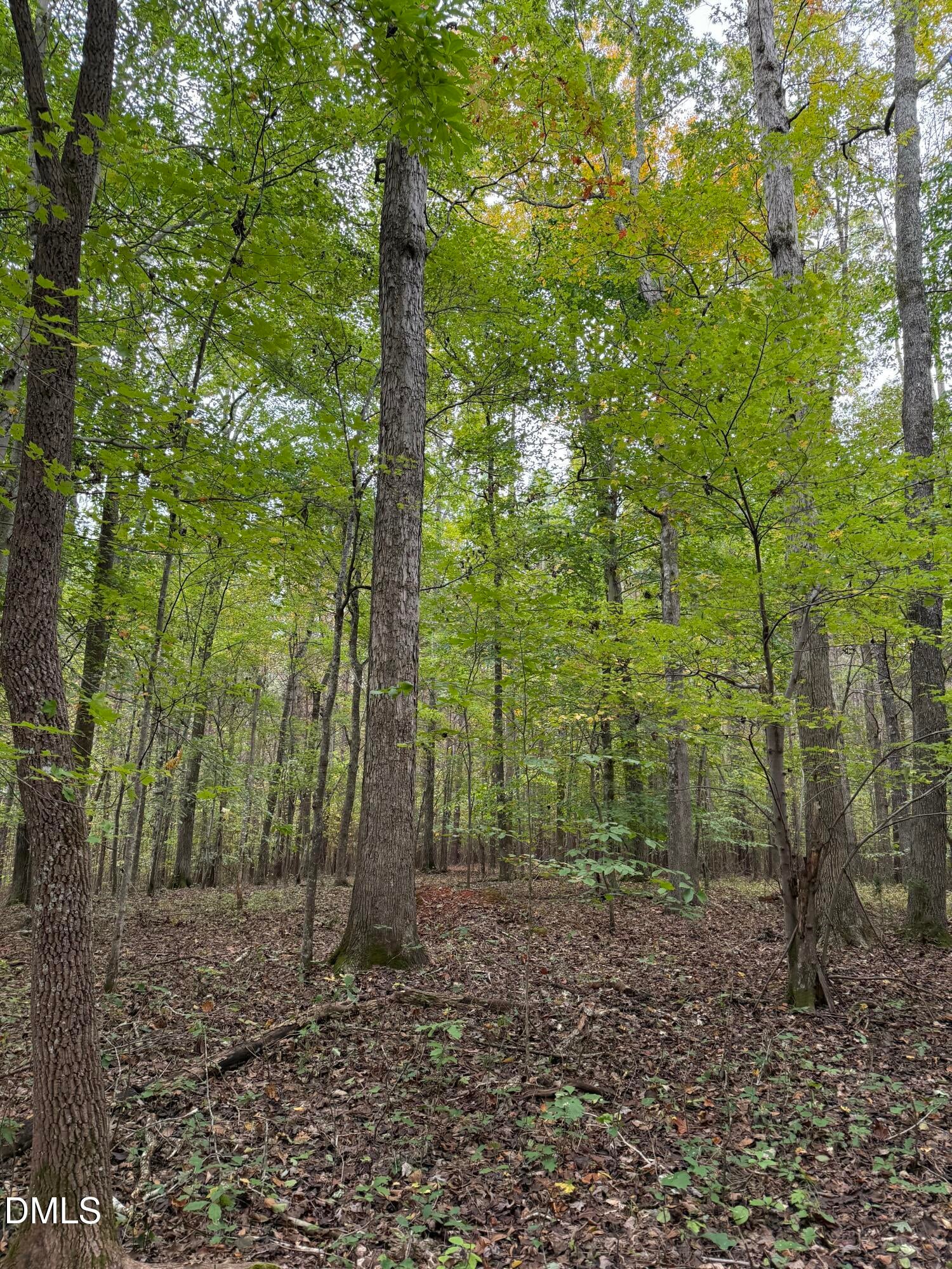 Oxford, North Carolina, 27565, United States, ,Land,For Sale,2000467