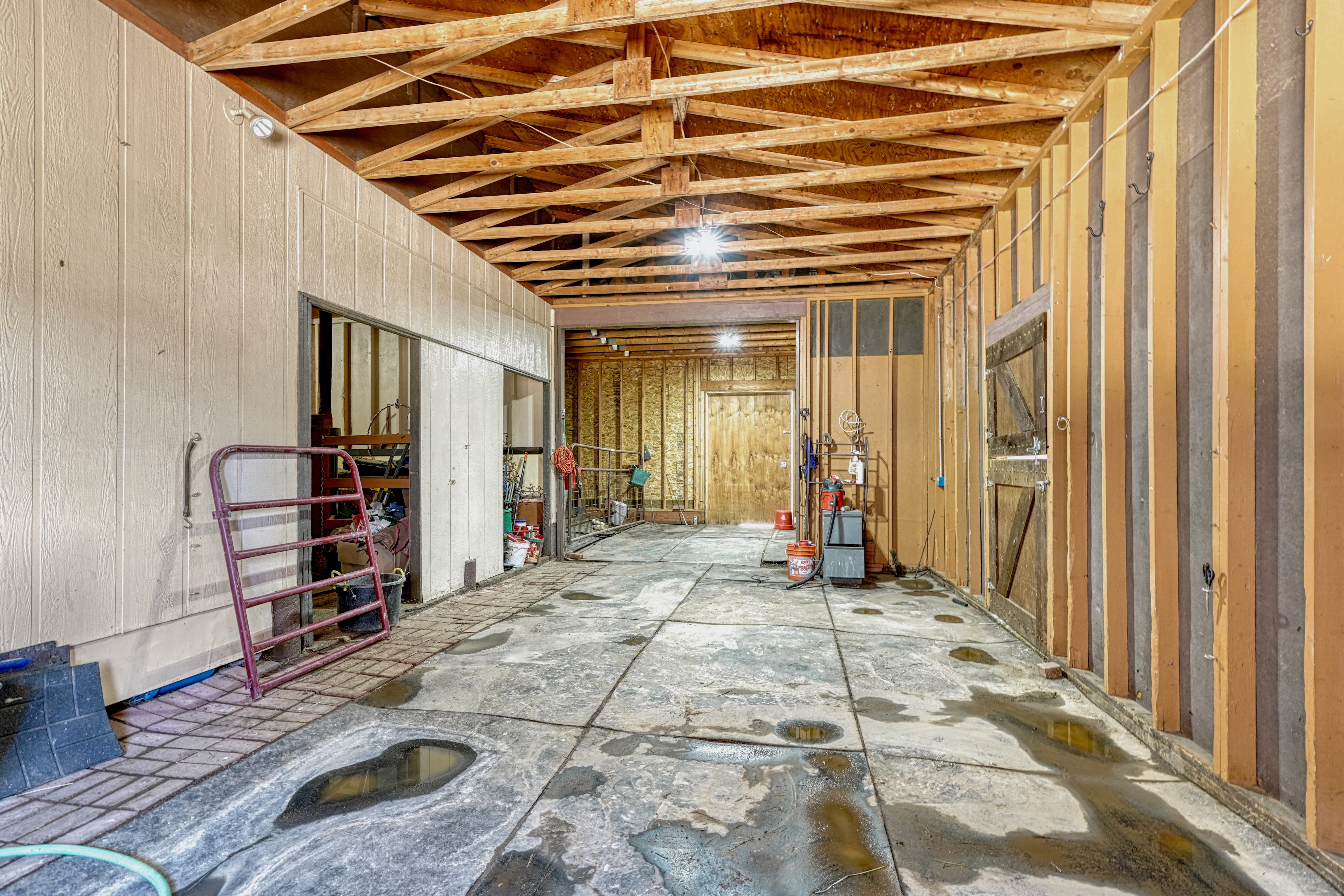  Amazing equestrian property in Black Forest on almost 6 acres - 物件實景