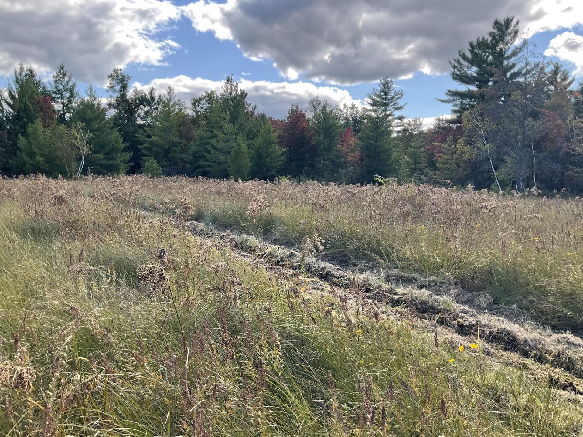 Warrens, Wisconsin, 54666, United States, 4 Bedrooms Bedrooms, ,3 BathroomsBathrooms,Residential,For Sale,1975252