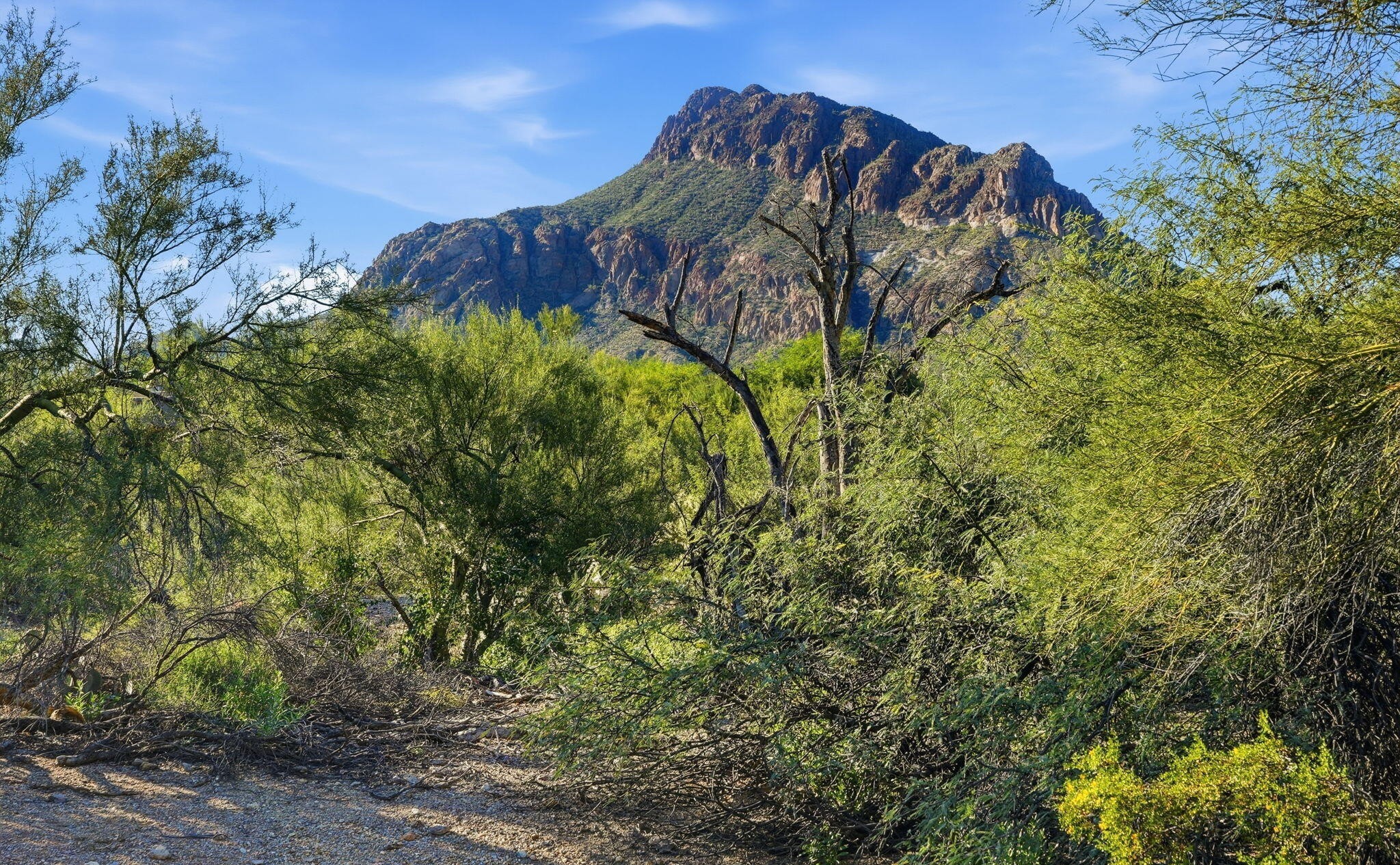  2080 S Triangle X Lane¦Tucson, AZ - 物件實景