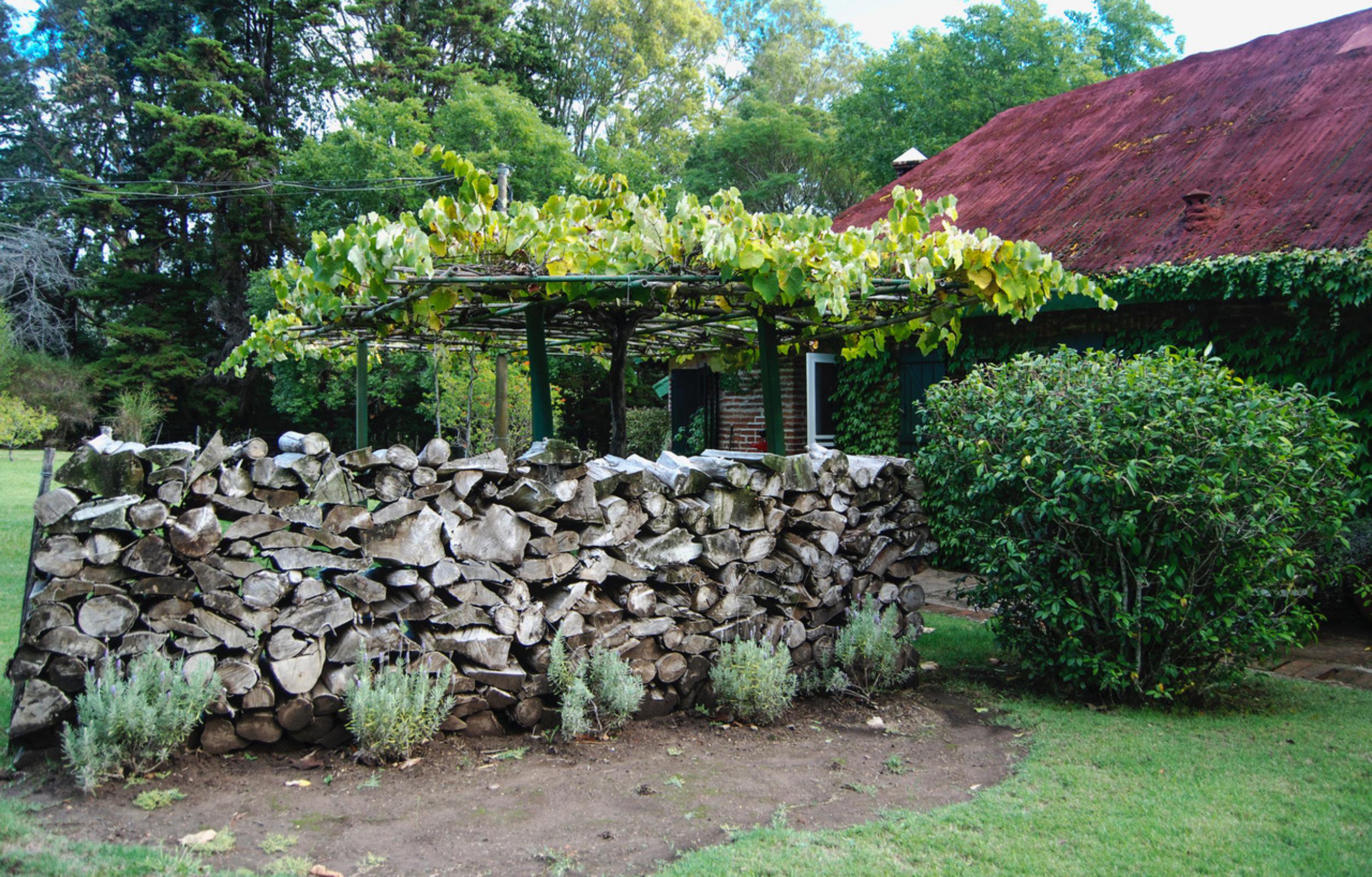  4,4 ha farm in Laguna del Sauce - 物件實景