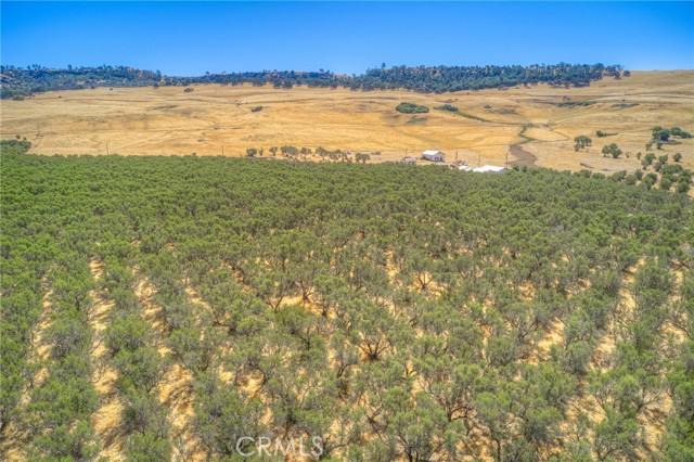 Oroville, California, 95965, United States, 2 Bedrooms Bedrooms, ,2 BathroomsBathrooms,Residential,For Sale,1978871