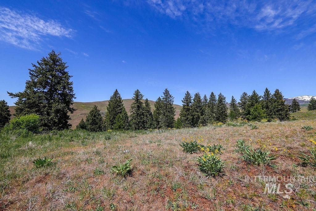 Council, Idaho, 83612, United States, ,Residential,For Sale,1975334