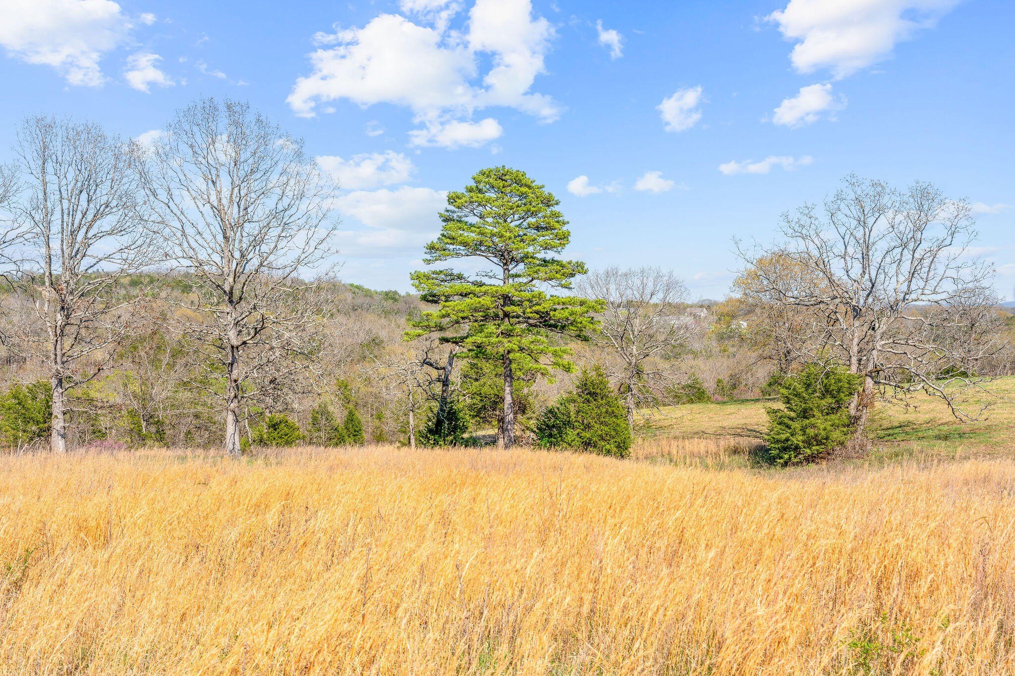 Kirbyville, Missouri, 65679, United States, ,Land,For Sale,1978892
