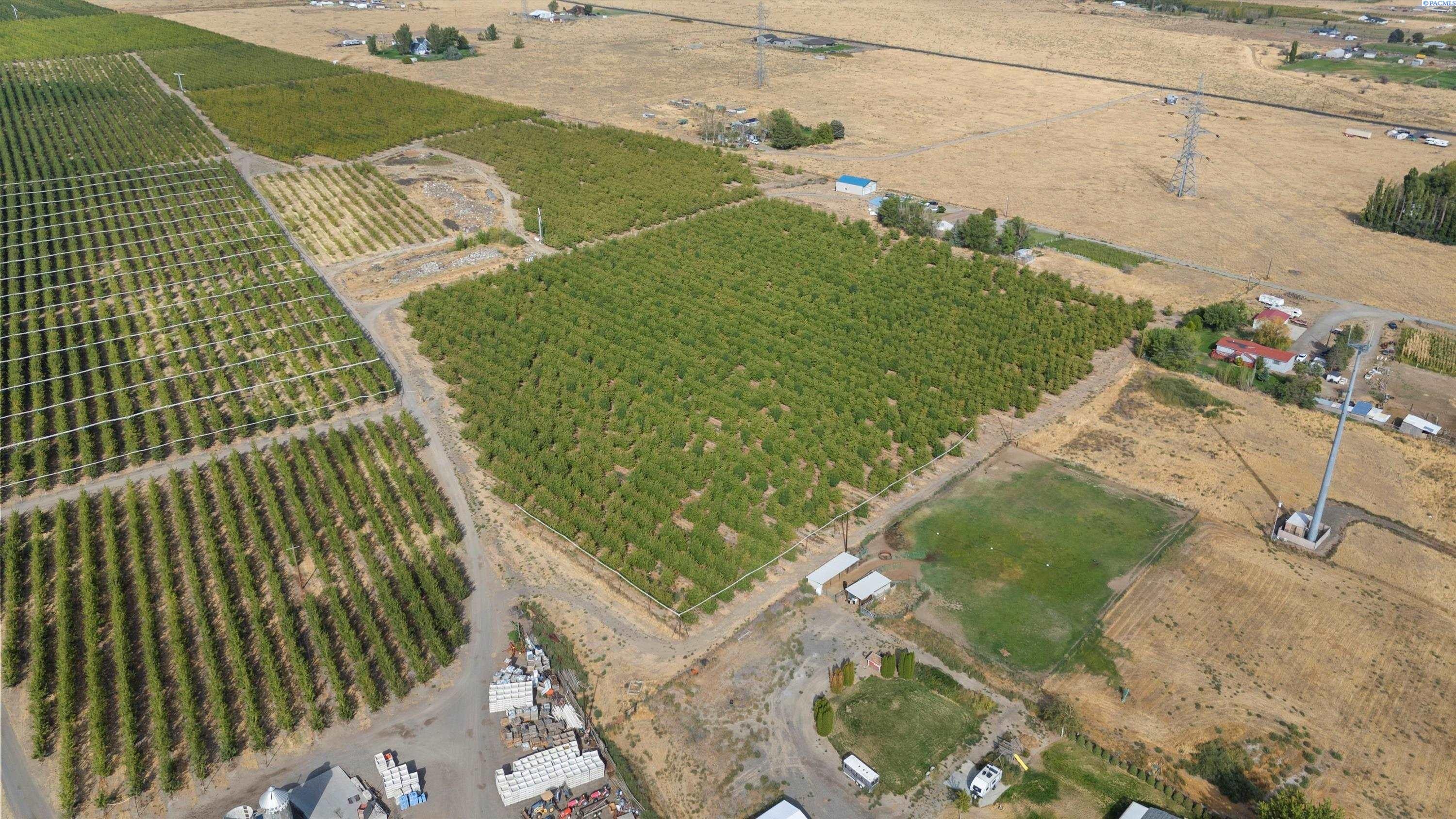 Benton City, Washington, 99320, United States, ,Residential,For Sale,1998007