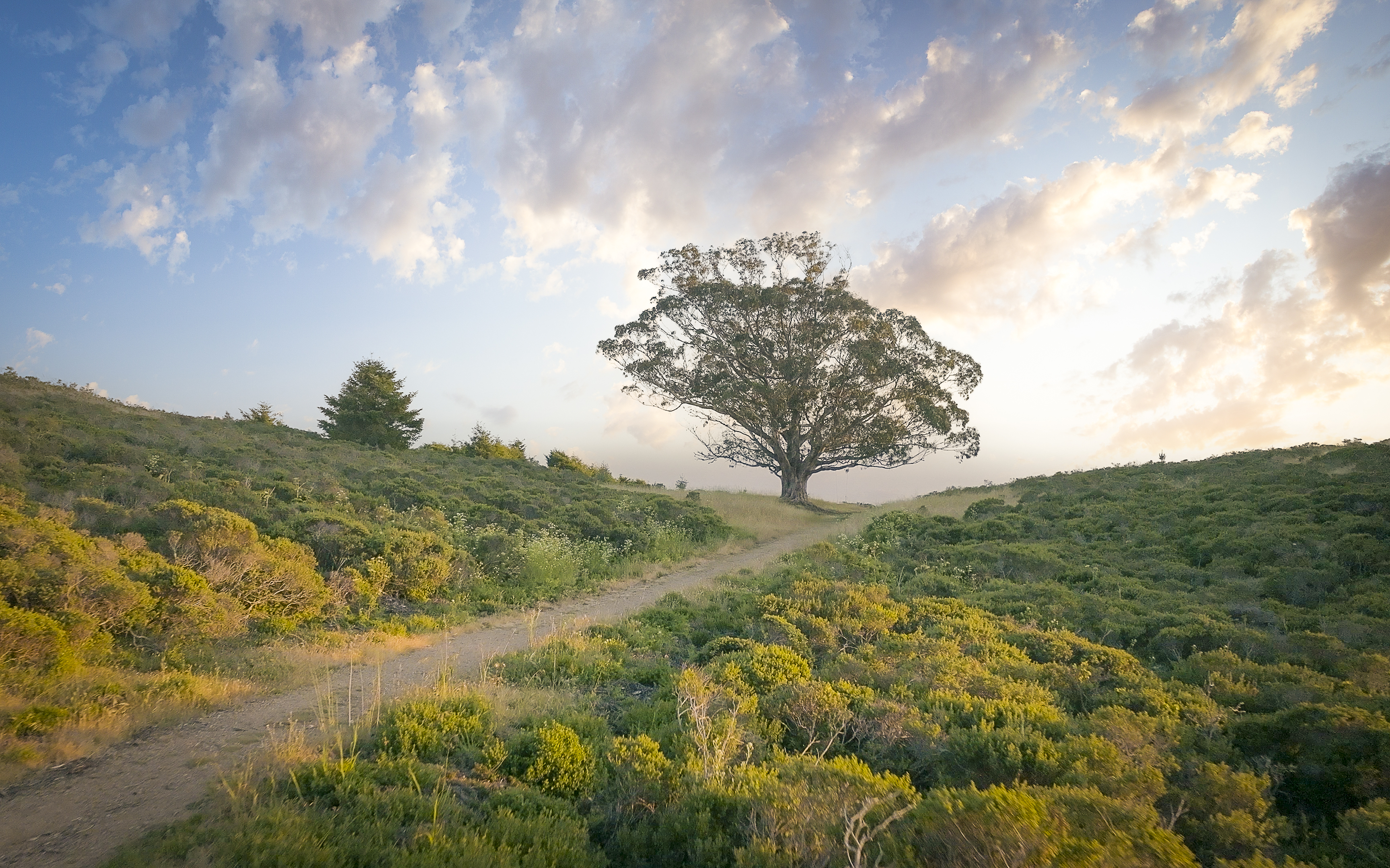  Refined Sensibility in Stinson Beach - 物件實景