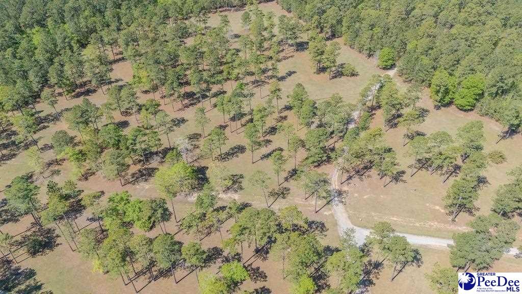 1315 Hill Harrell Road, Effingham, South Carolina, 29541-3179, United States, ,Land,For Sale,1315 Hill Harrell Road,1501598
