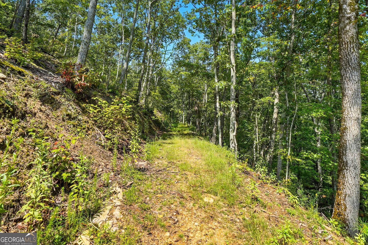 Waleska, Georgia, 30183, United States, ,Land,For Sale,1929808