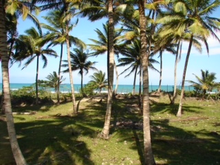 Sabaneta, DO, ,Land,For Sale,1617326