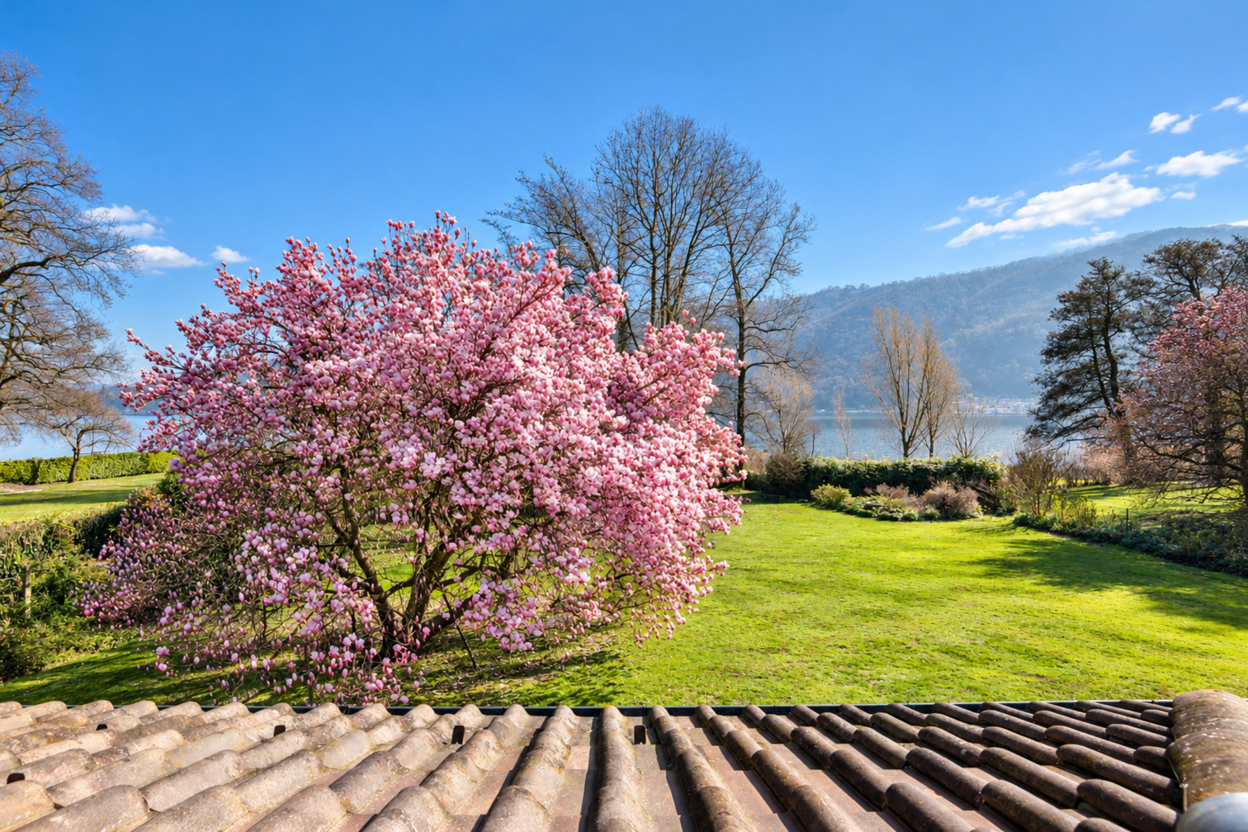  Villa Magnolia: Gorgeous Lakefront Villa in Magliaso - 物件實景
