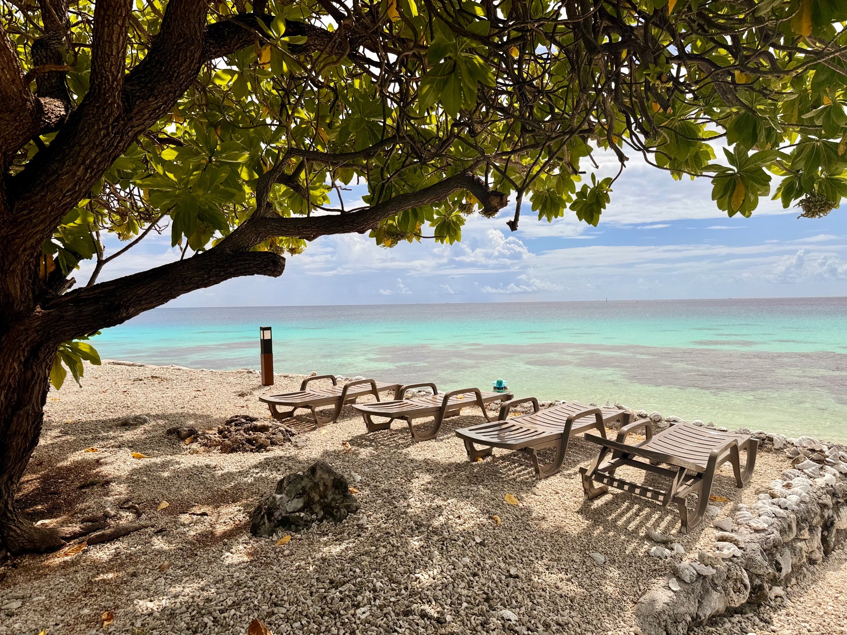 Fakarava – Lagoonfront Tourist Lodge - 物件實景