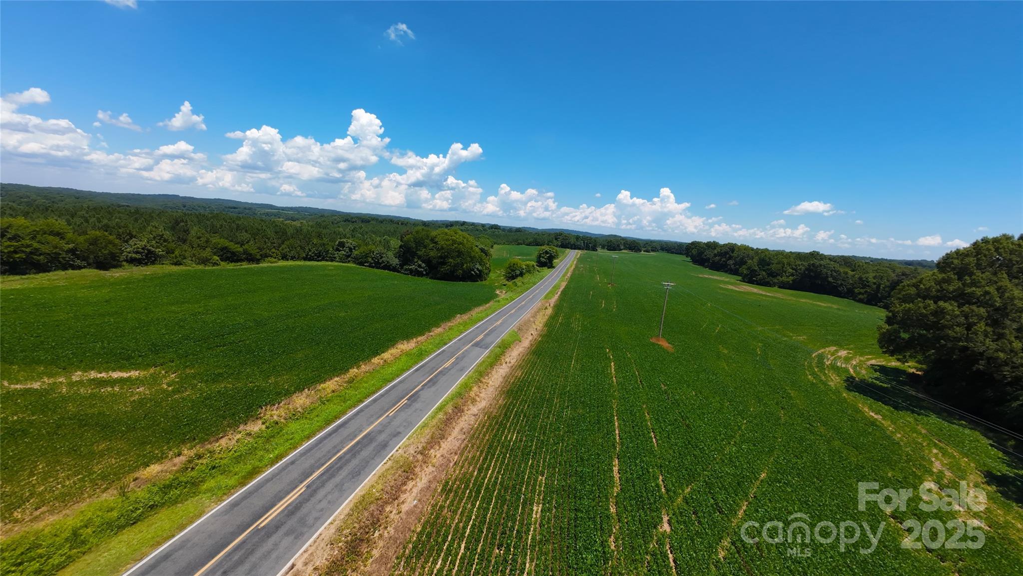 Polkton, North Carolina, 28135, United States, ,Land,For Sale,1976298
