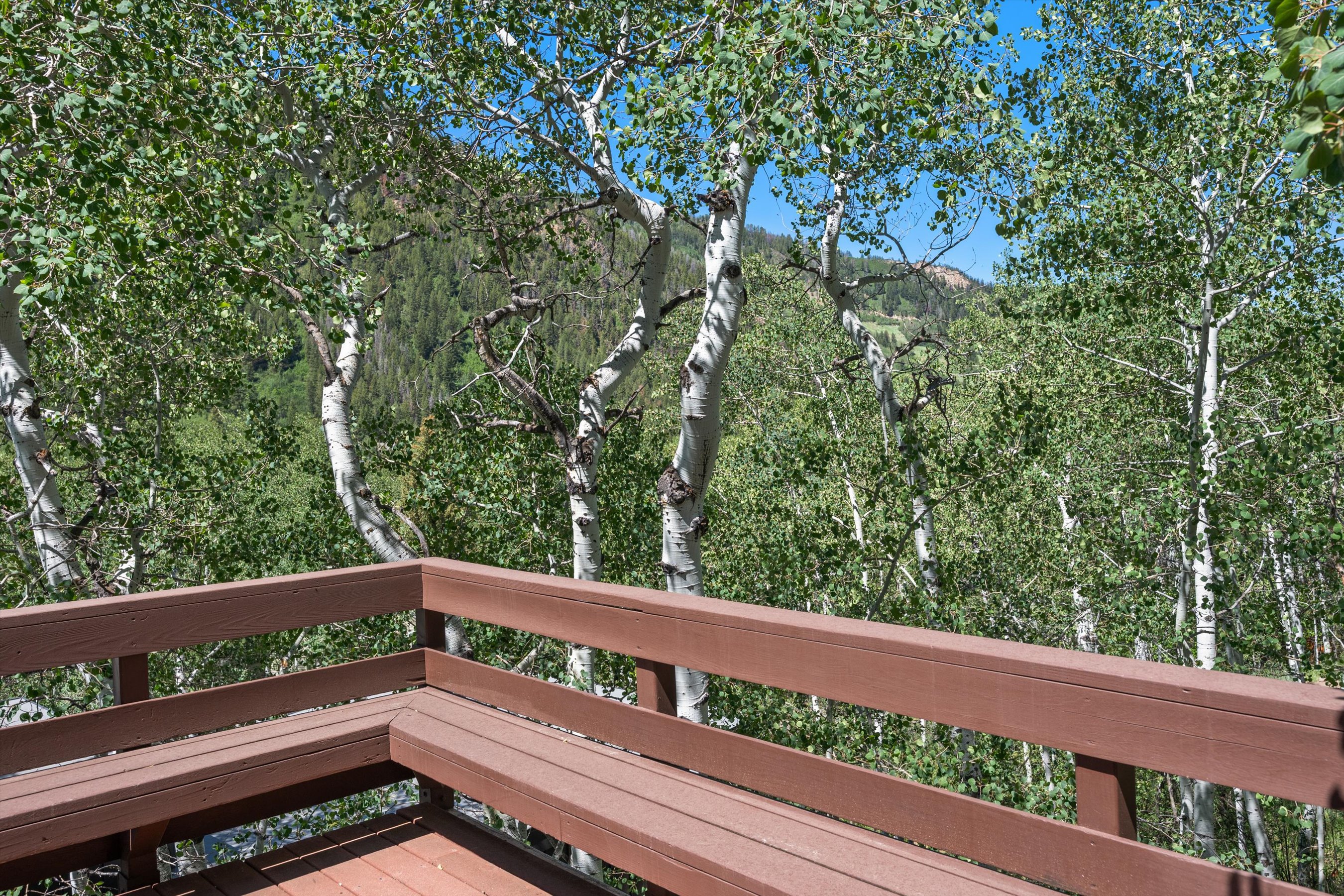  CHARMING EAST ASPEN HOME WITH VIEWS OF ASPEN MOUNTAIN - 物件實景
