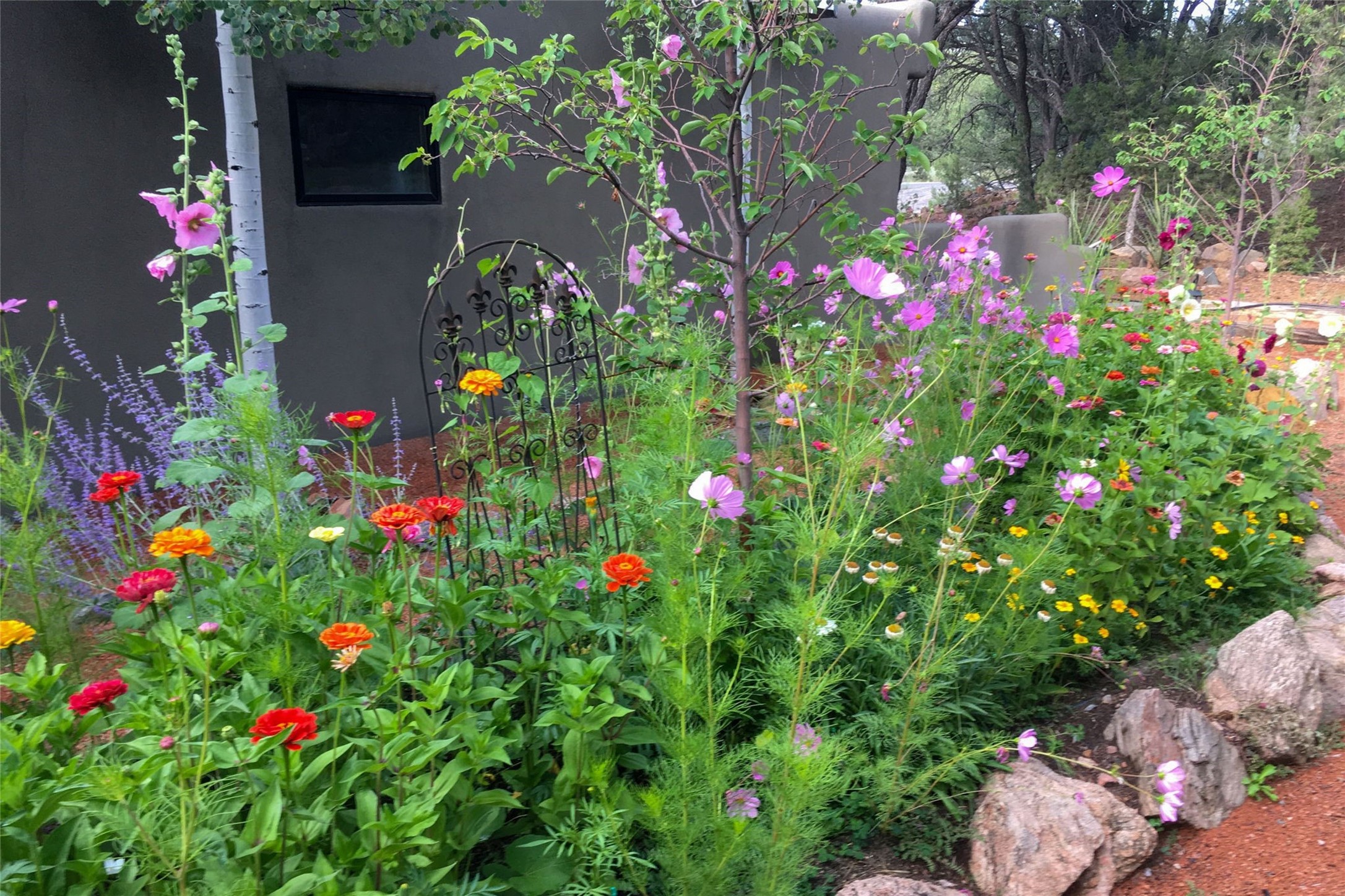  7 Cibola Circle - 物件實景