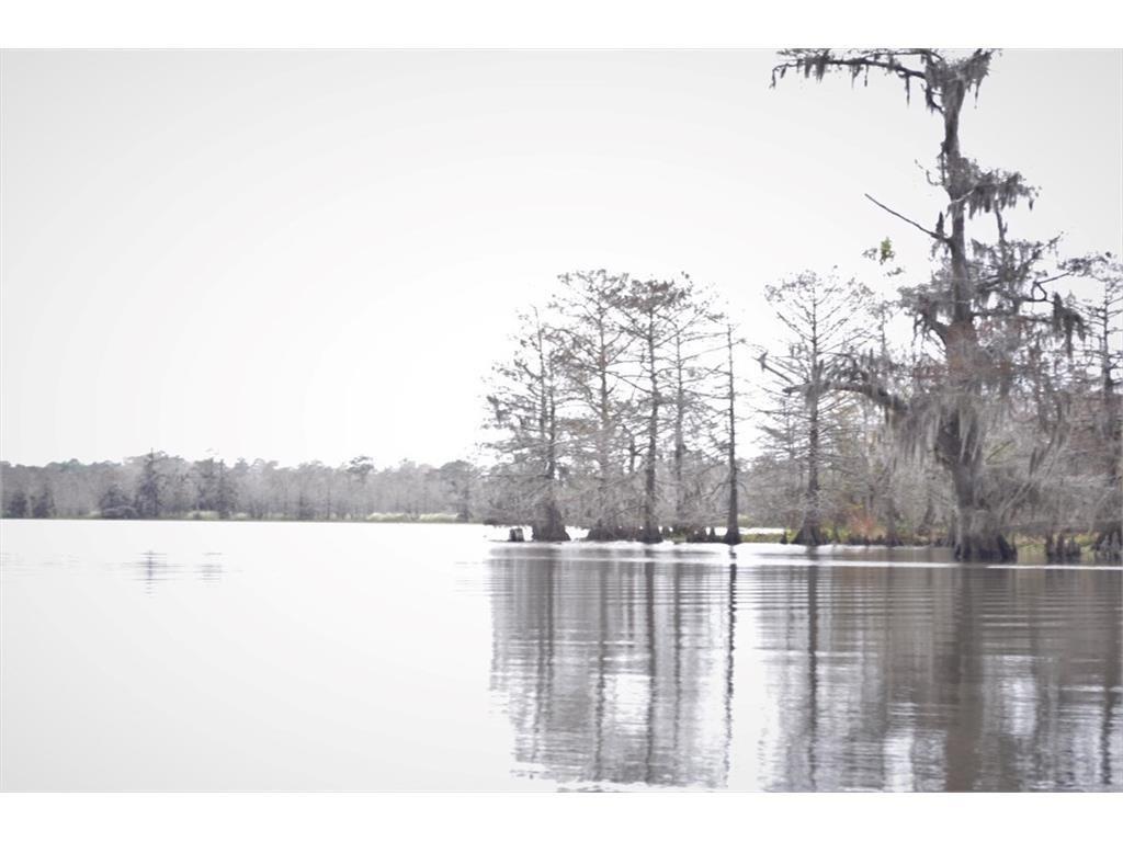 Lake Charles, Louisiana, 70601, United States, ,Land,For Sale,1975945