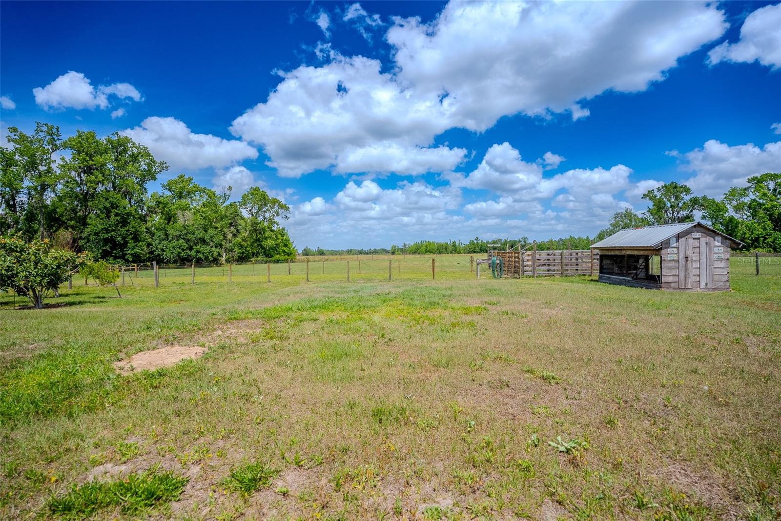 GROVELAND, Florida, 34736, United States, 4 Bedrooms Bedrooms, ,3 BathroomsBathrooms,Residential,For Sale,1759294