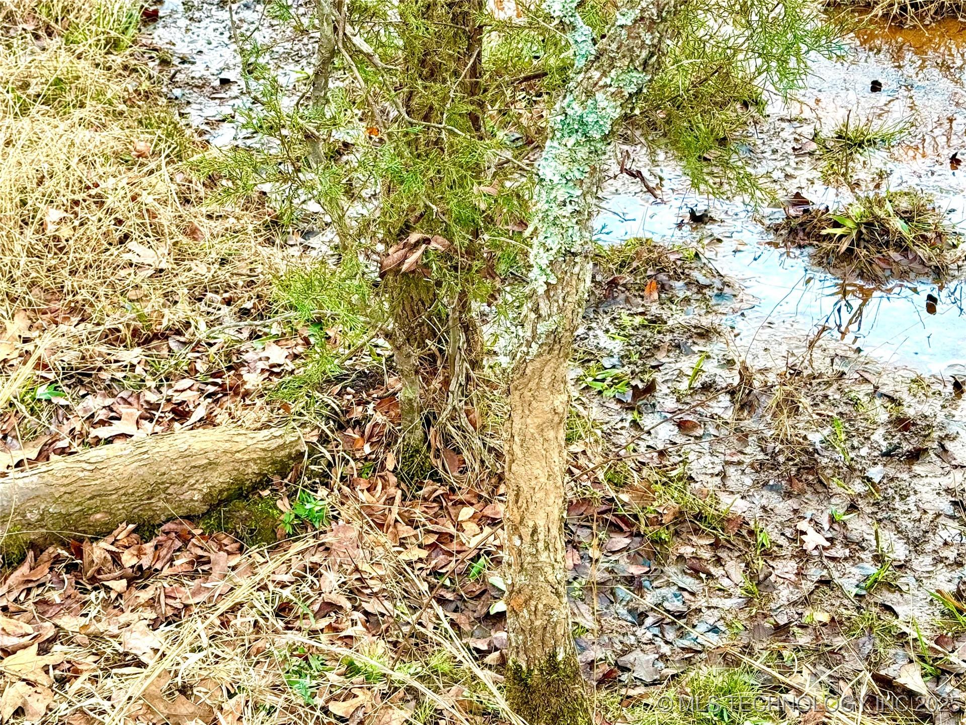 Fort Gibson, Oklahoma, 74434, United States, ,Residential,For Sale,2006417