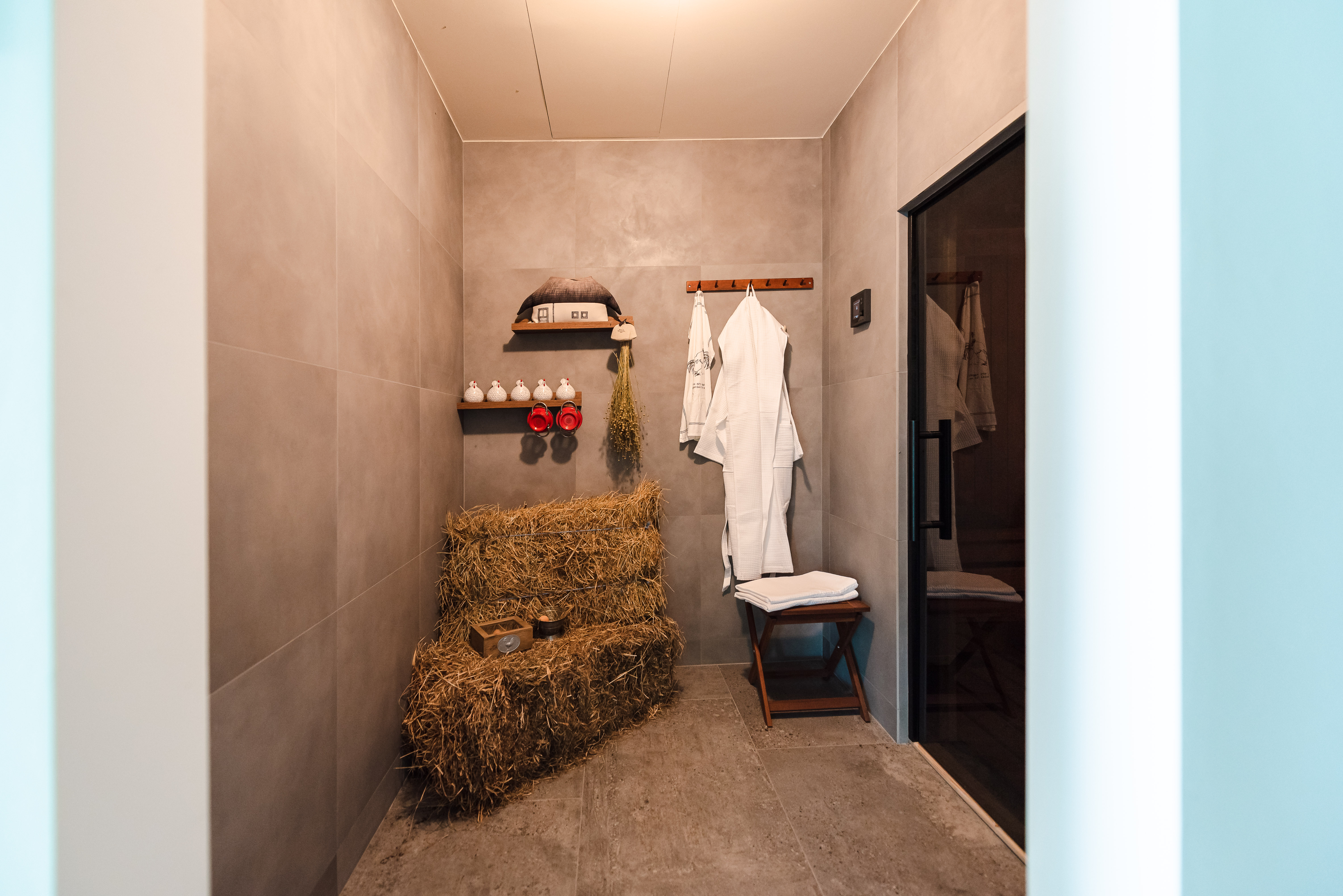  Wellness & Hospitality near Cluj-Napoca - 物件實景