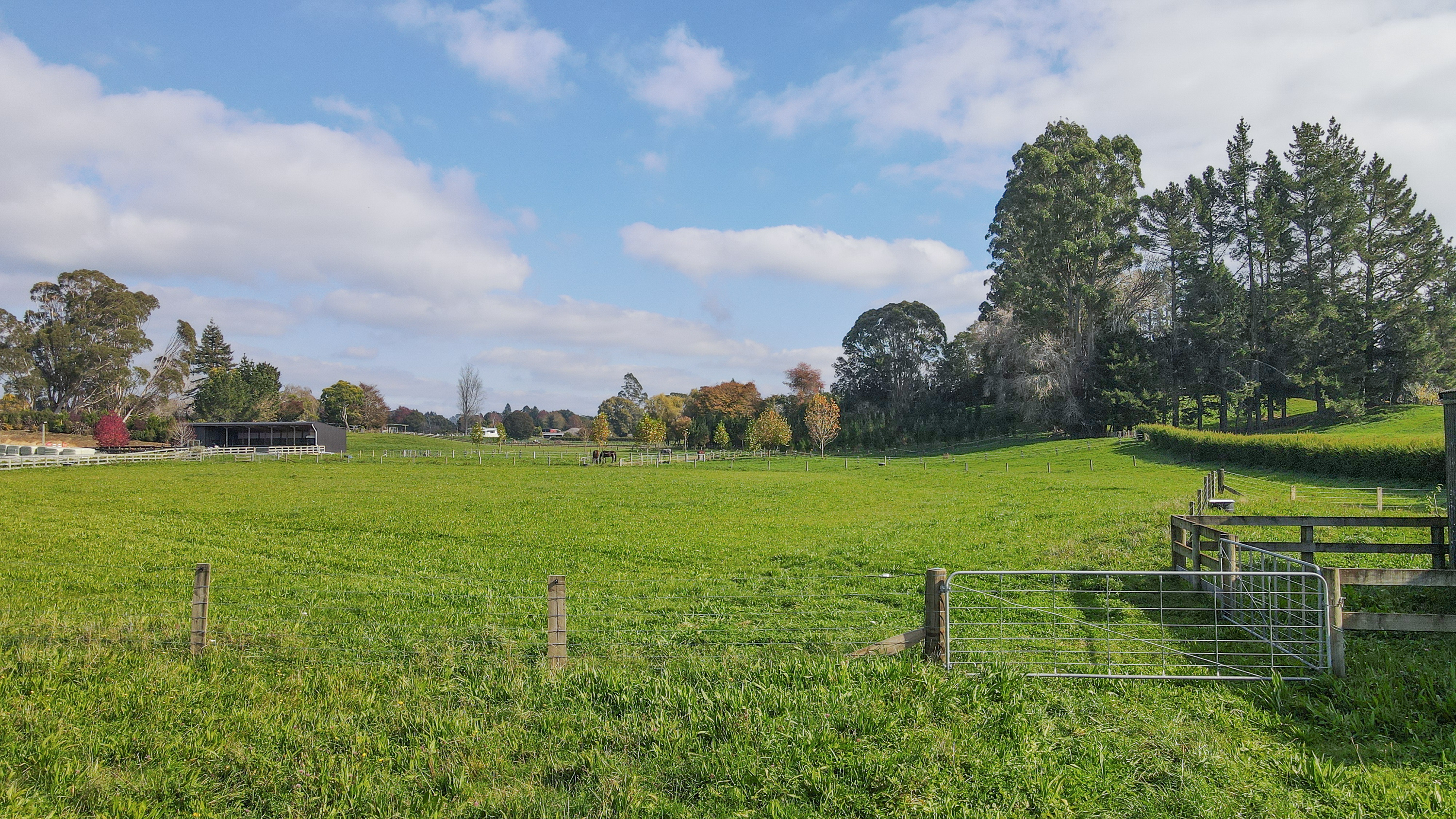  where  equestrian excellence meets lifestyle living - 物件實景