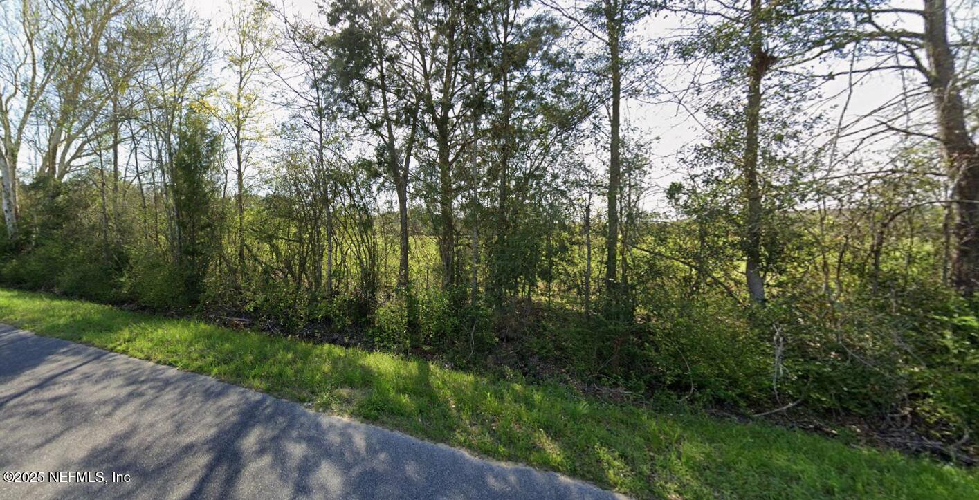 Paxton, Florida, 32567, United States, ,Land,For Sale,1988942