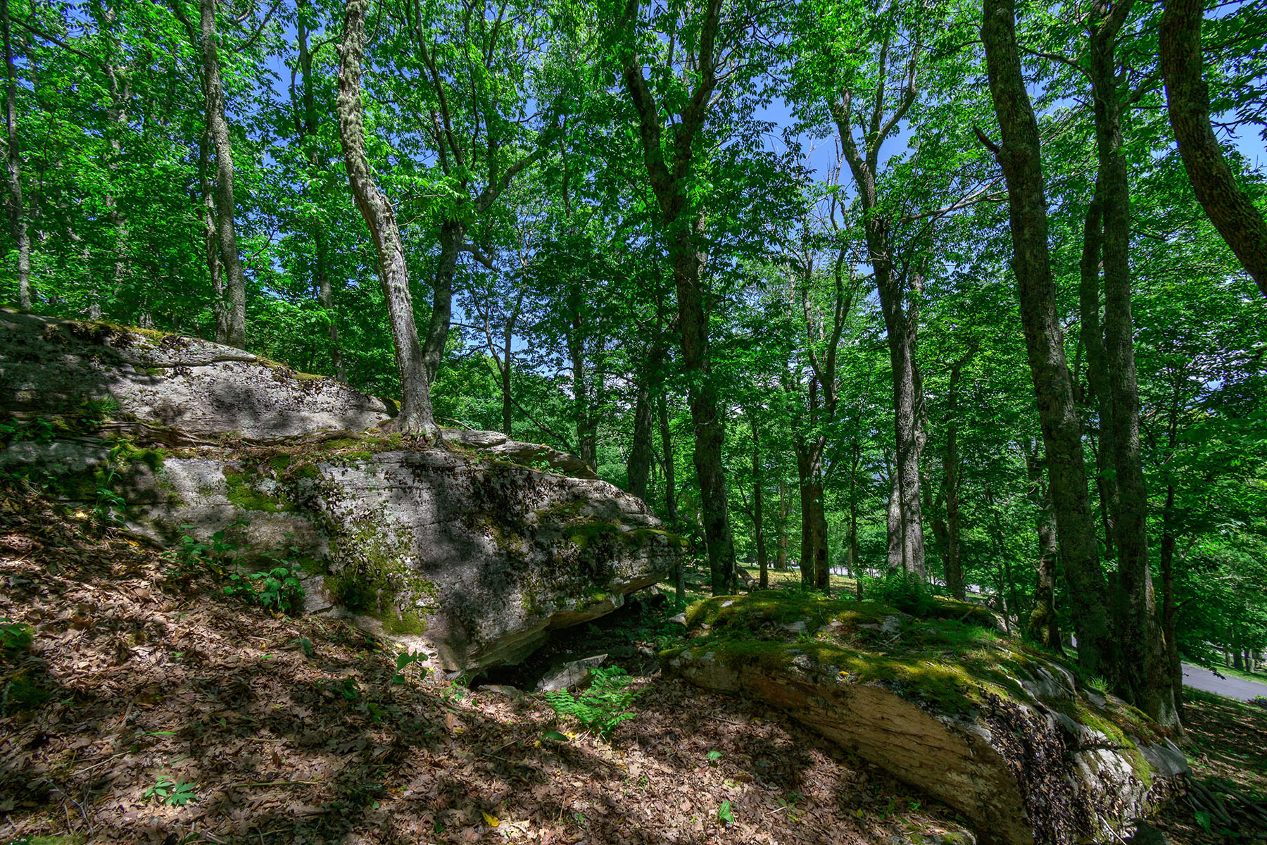  BANNER ELK - ROCKY KNOB - 物件實景