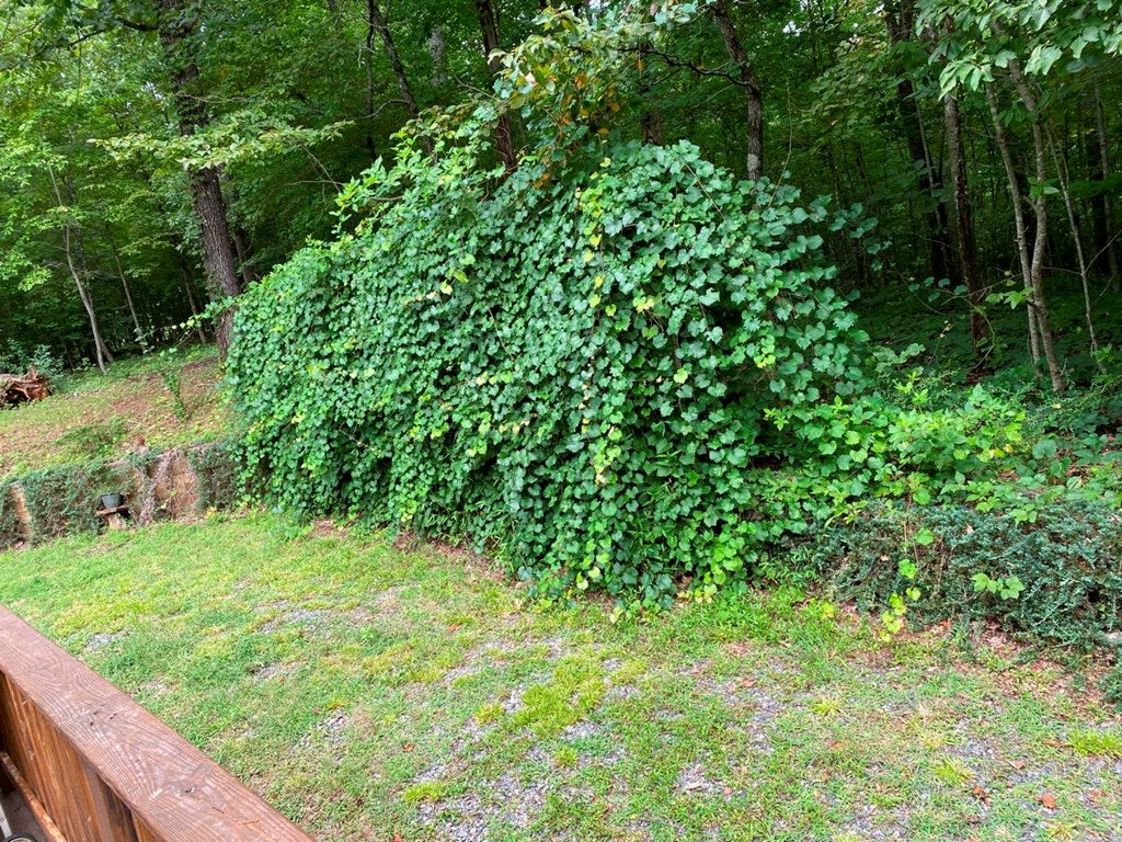 Young Harris, Georgia, 30582, United States, 3 Bedrooms Bedrooms, ,3 BathroomsBathrooms,Residential,For Sale,1847113