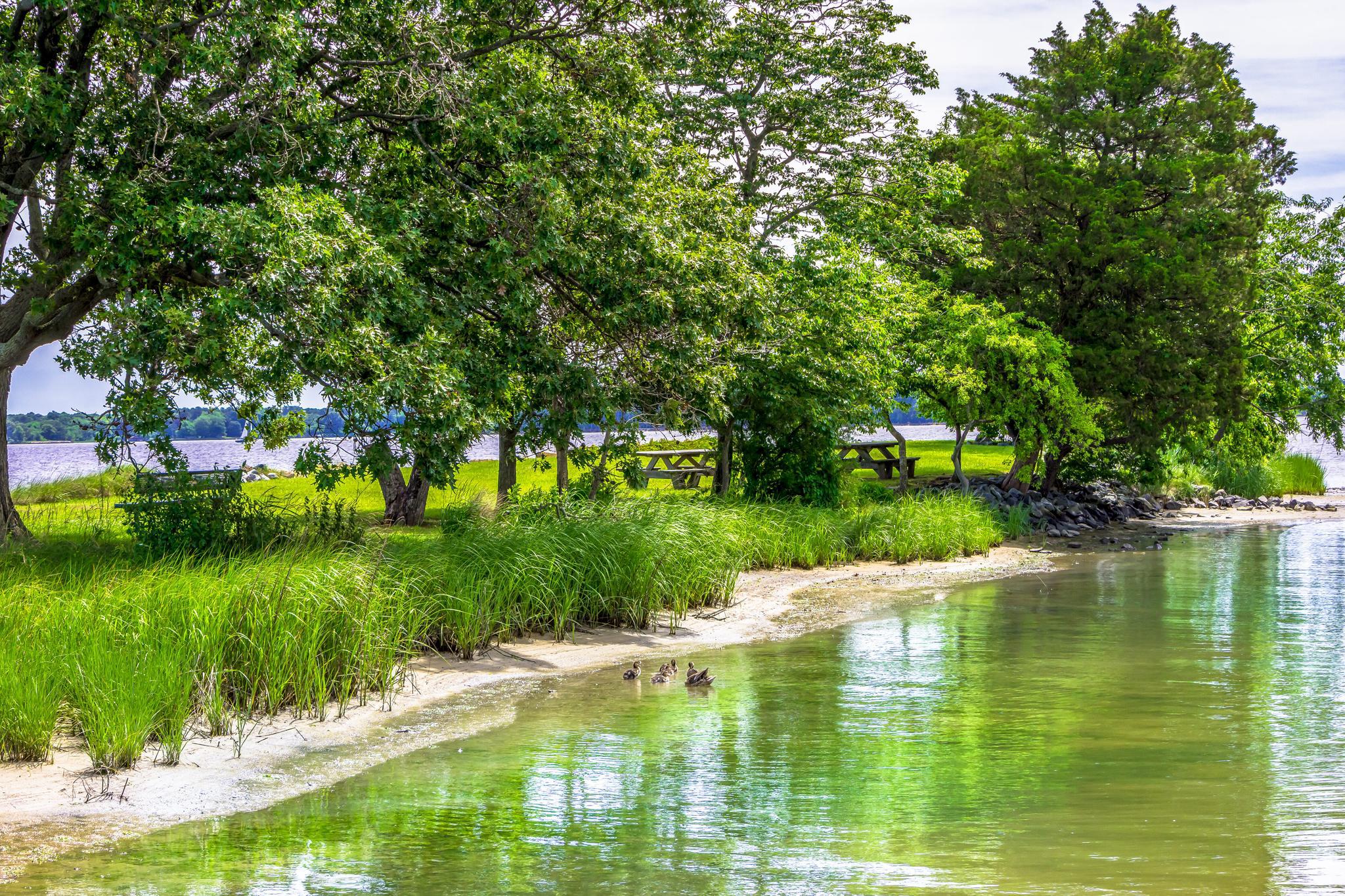  100 Bush, Saint Michaels, MD, 21663 - 物件實景