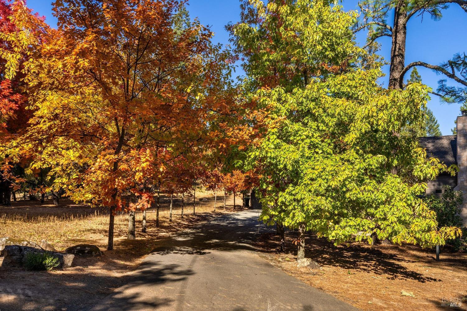 Angwin, California, 94508, United States, 3 Bedrooms Bedrooms, ,4 BathroomsBathrooms,Residential,For Sale,1836734
