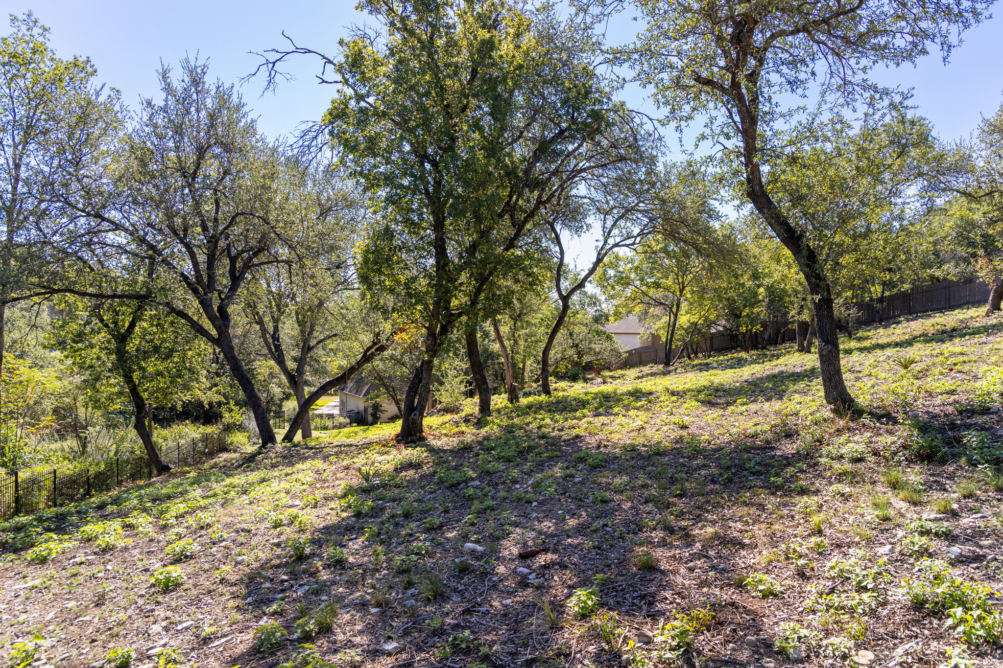  The Mount Bonnell Legacy Estate - 物件實景