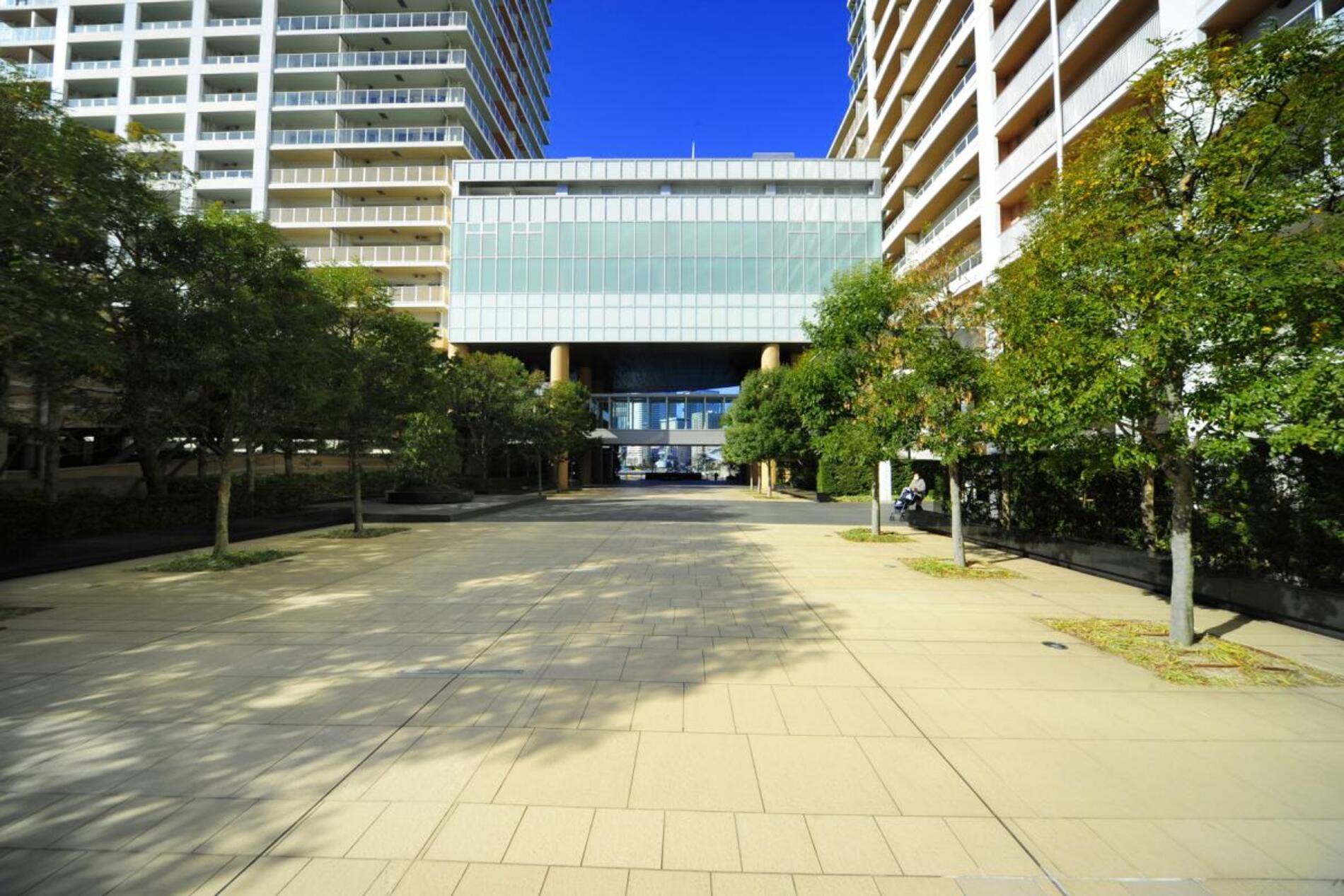  Urban Dock Park City Toyosu Tower A - 物件實景