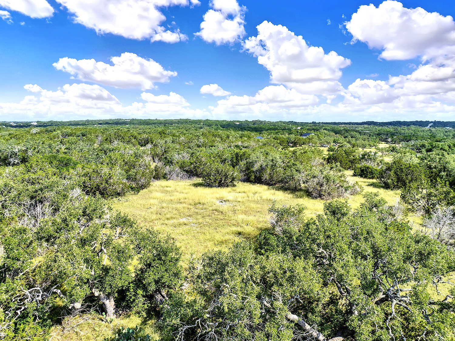 San Marcos, Texas, 78666, United States, ,Land,For Sale,1976108