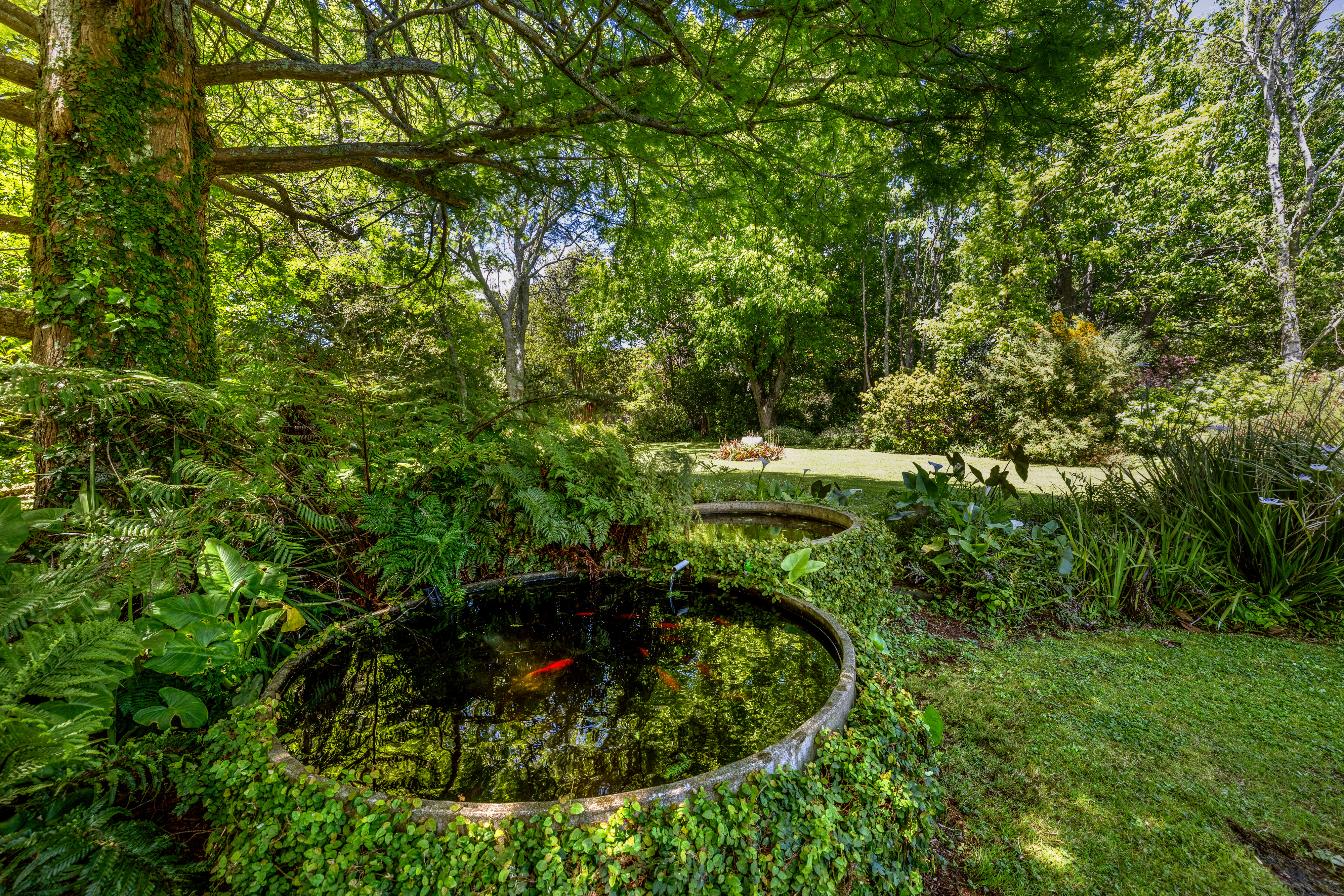  18 Lathrope Road, Riverhead - 物件實景