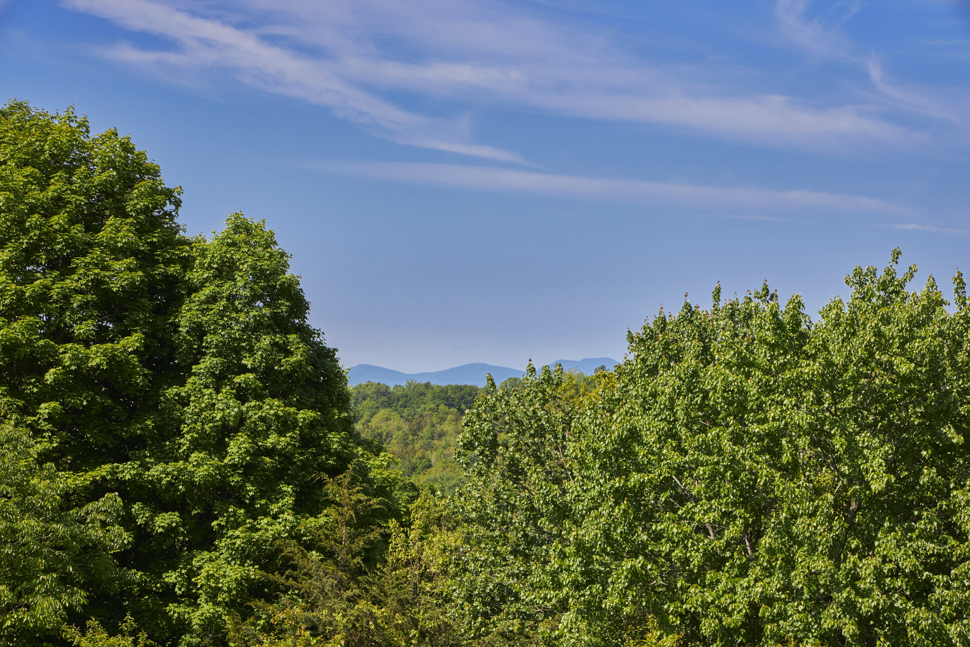  7 Blum Road, Ghent, NY, 12075 - 物件實景