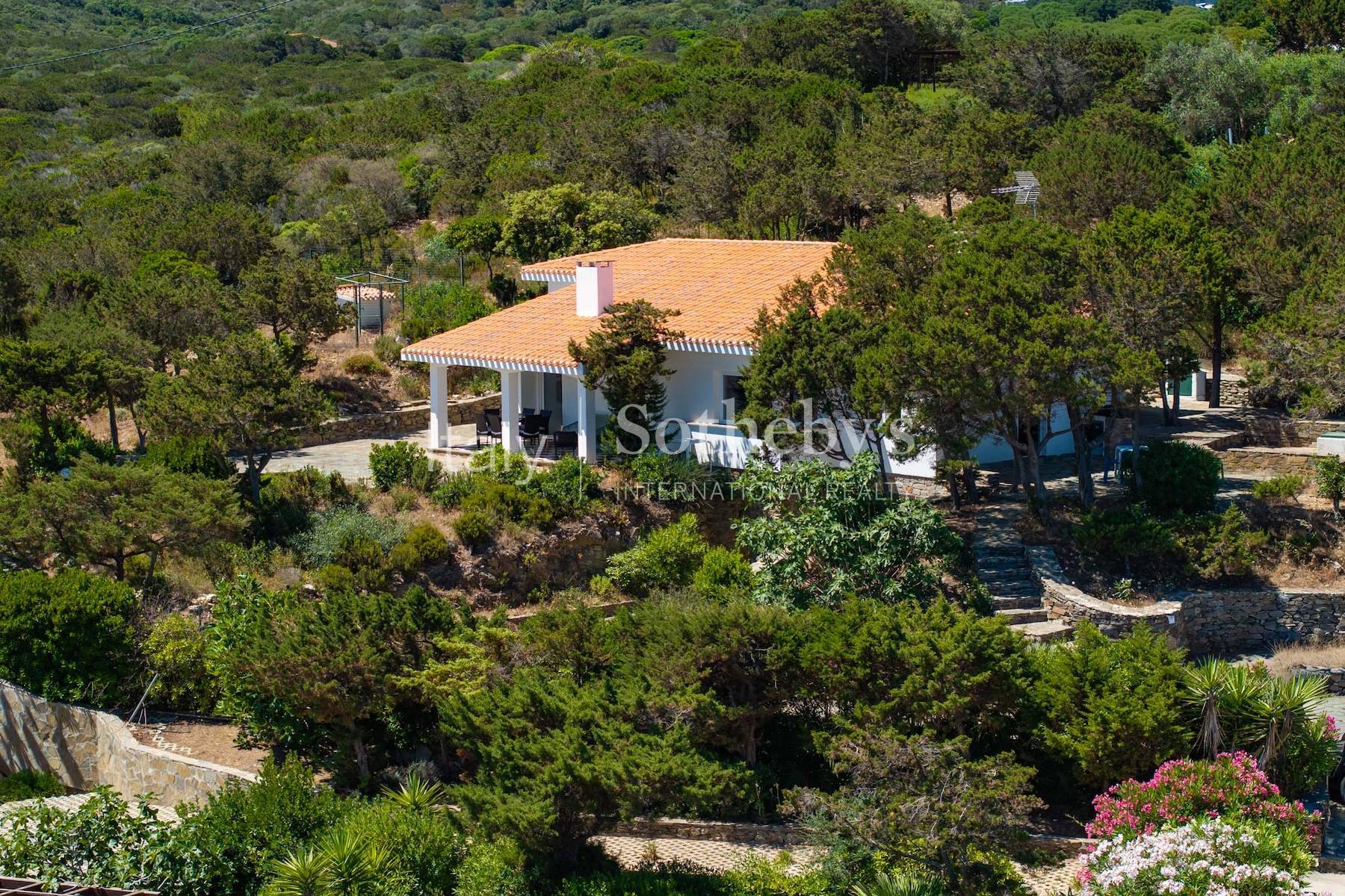  Panoramic Villa Overlooking the Iconic La Pelosa Coastline - 物件實景