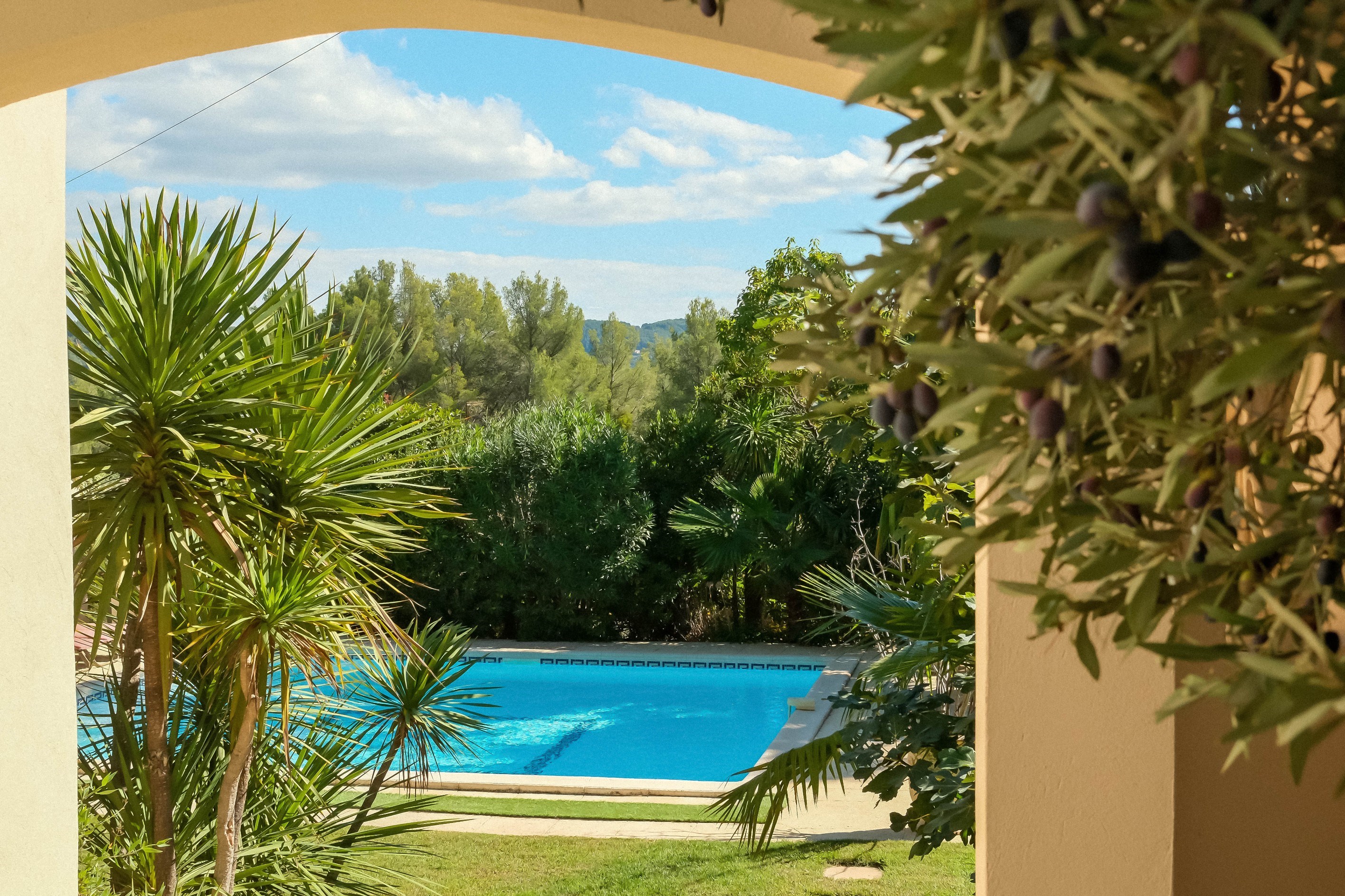  La Cadière d’Azur - Provençal Villa with Spacious Garden and Pool - 物件實景