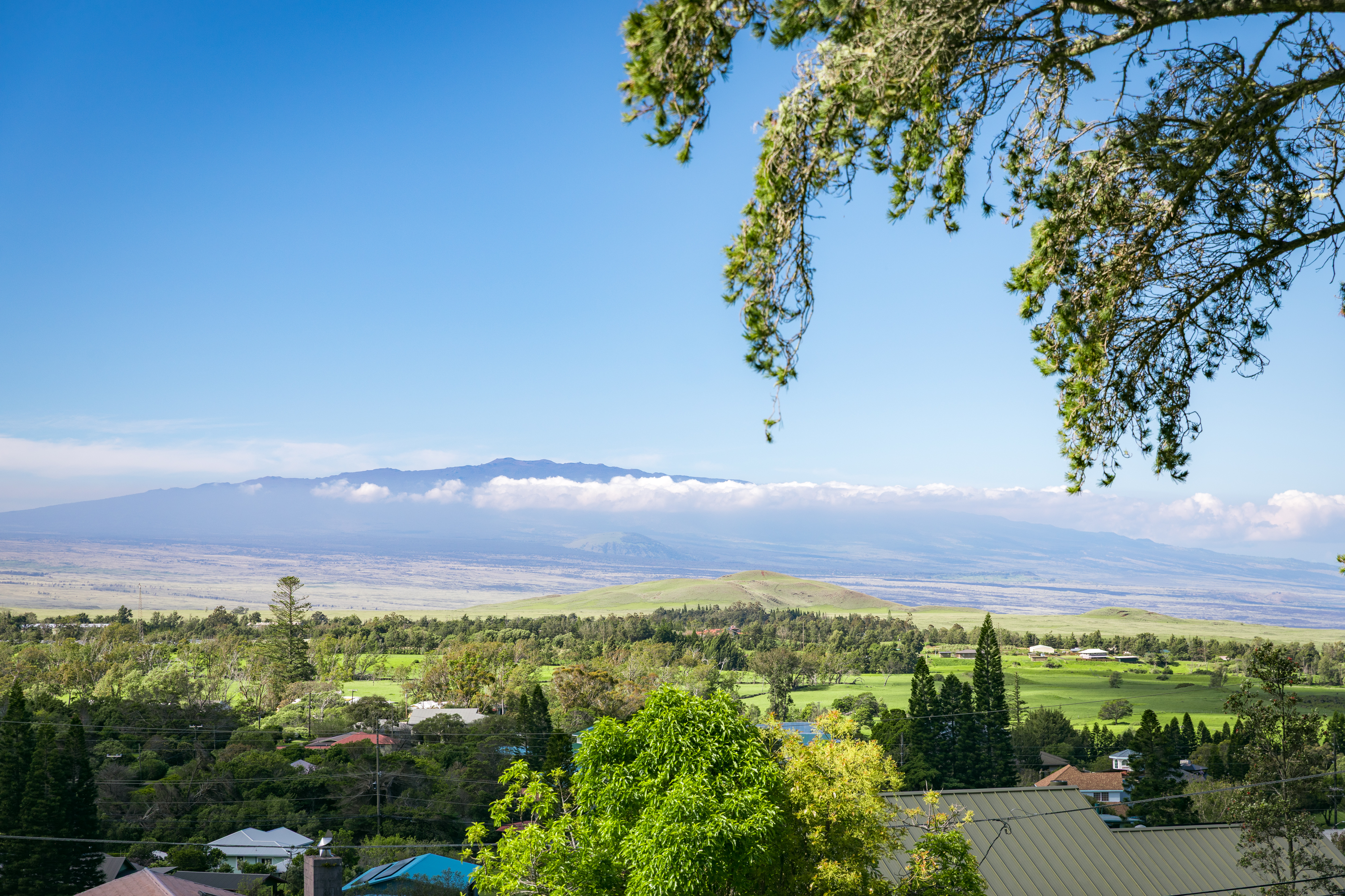  65-1228 Puuki Place, Kamuela, HI 96743 - 物件實景