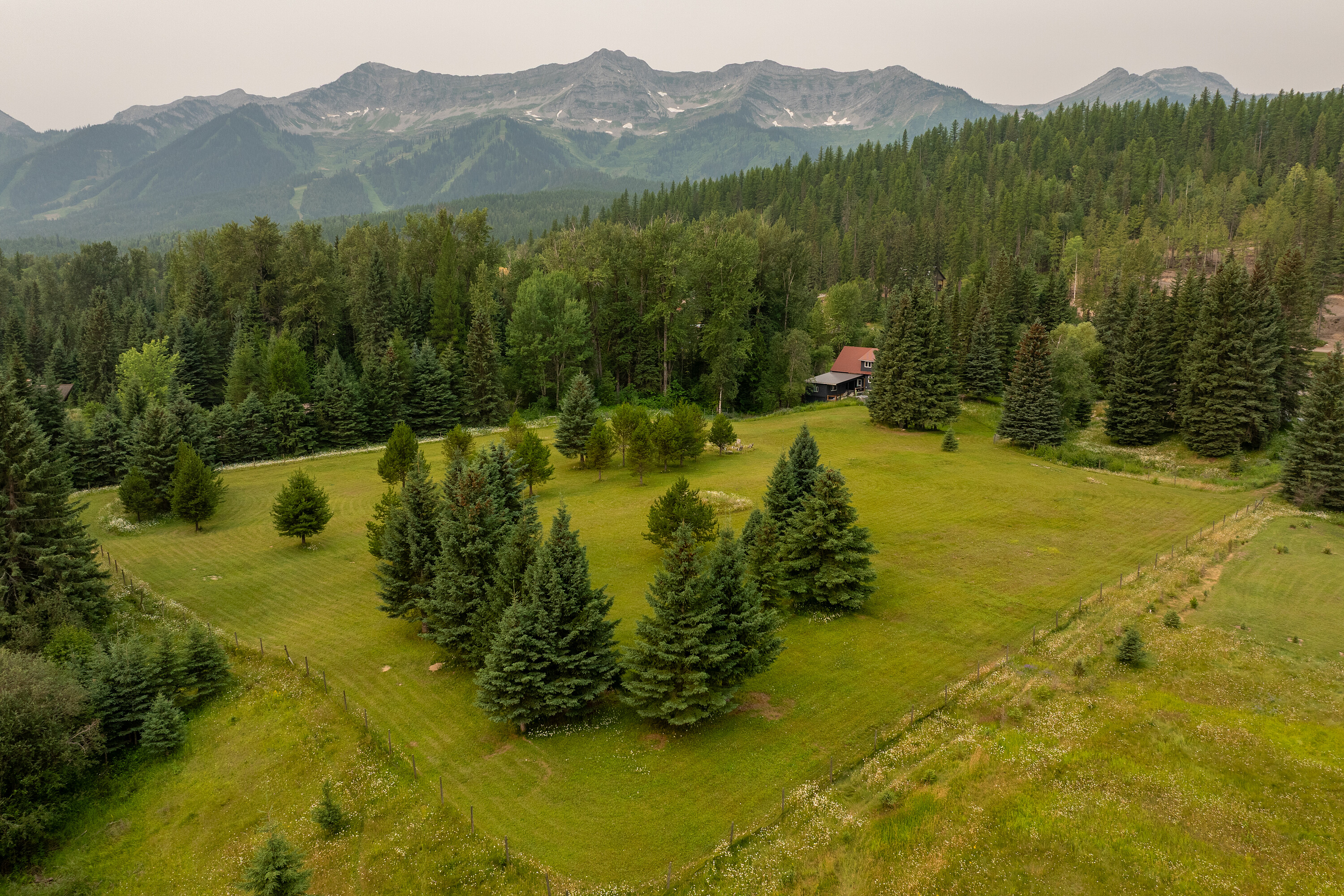  Five Acre Mountain Estate - 物件實景