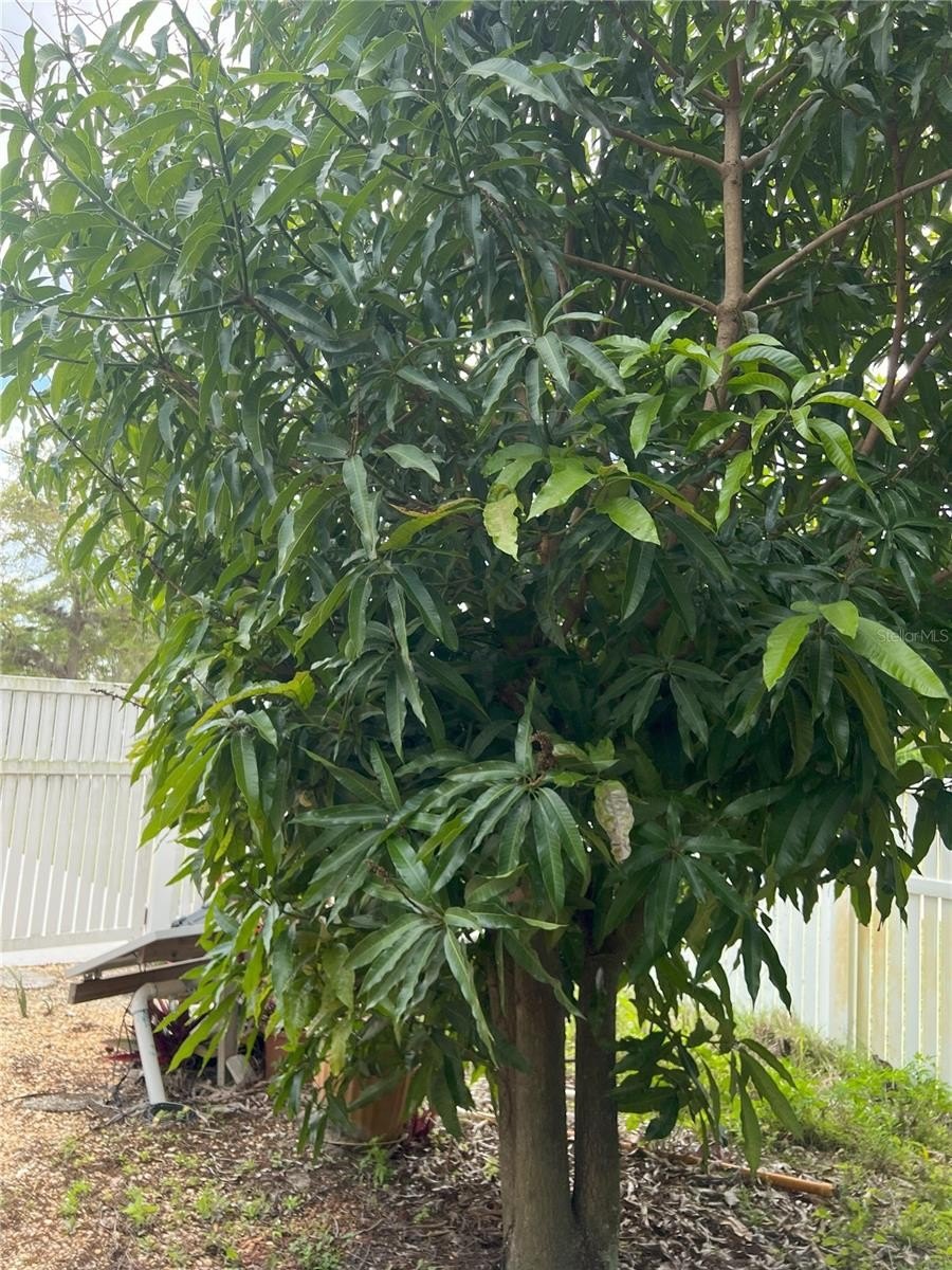 PALM BAY, Florida, 32909, United States, 4 Bedrooms Bedrooms, ,3 BathroomsBathrooms,Residential,For Sale,1978435