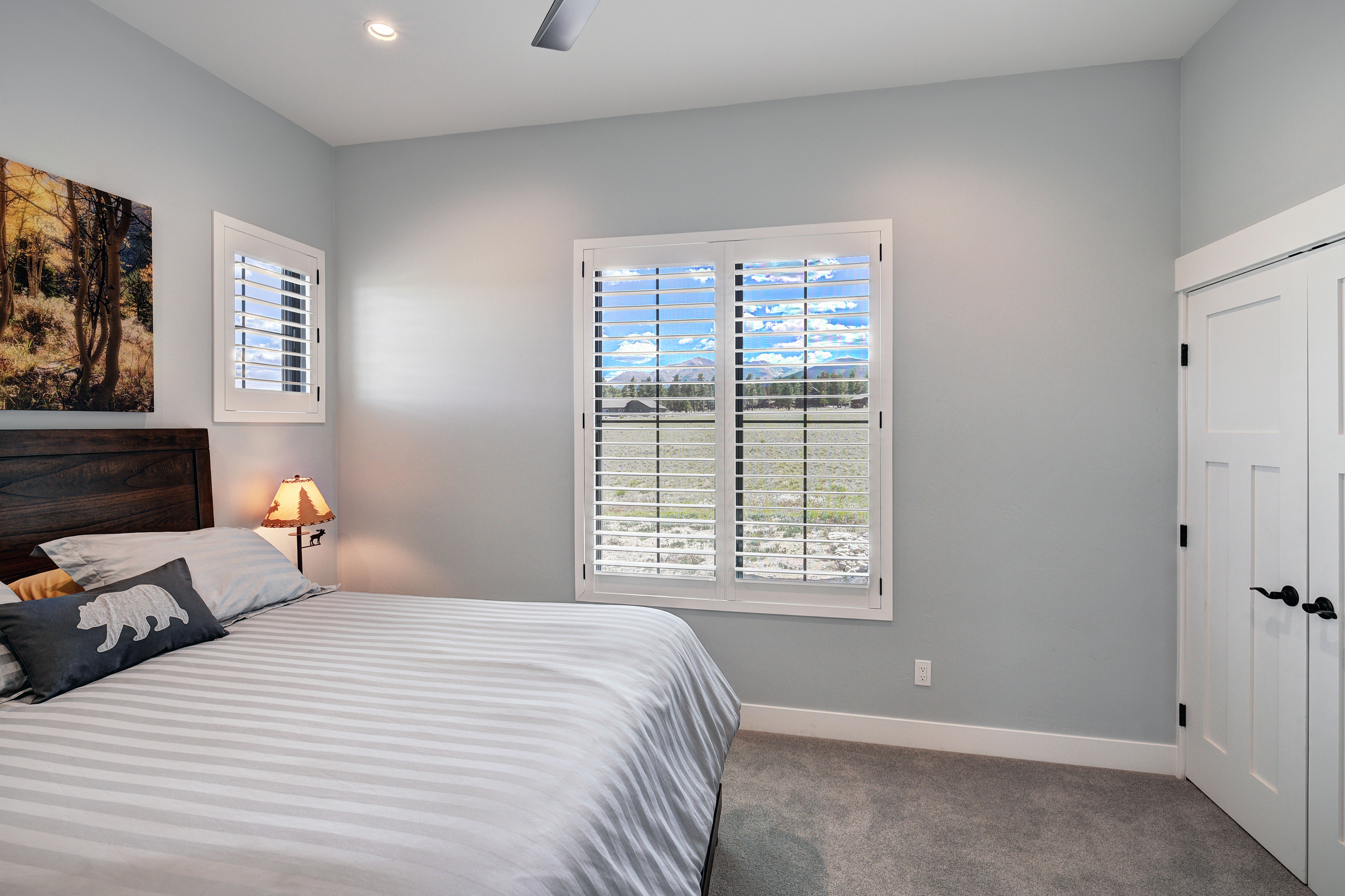  31307 Great Peaks Drive, Buena Vista, CO 81211 - 物件實景