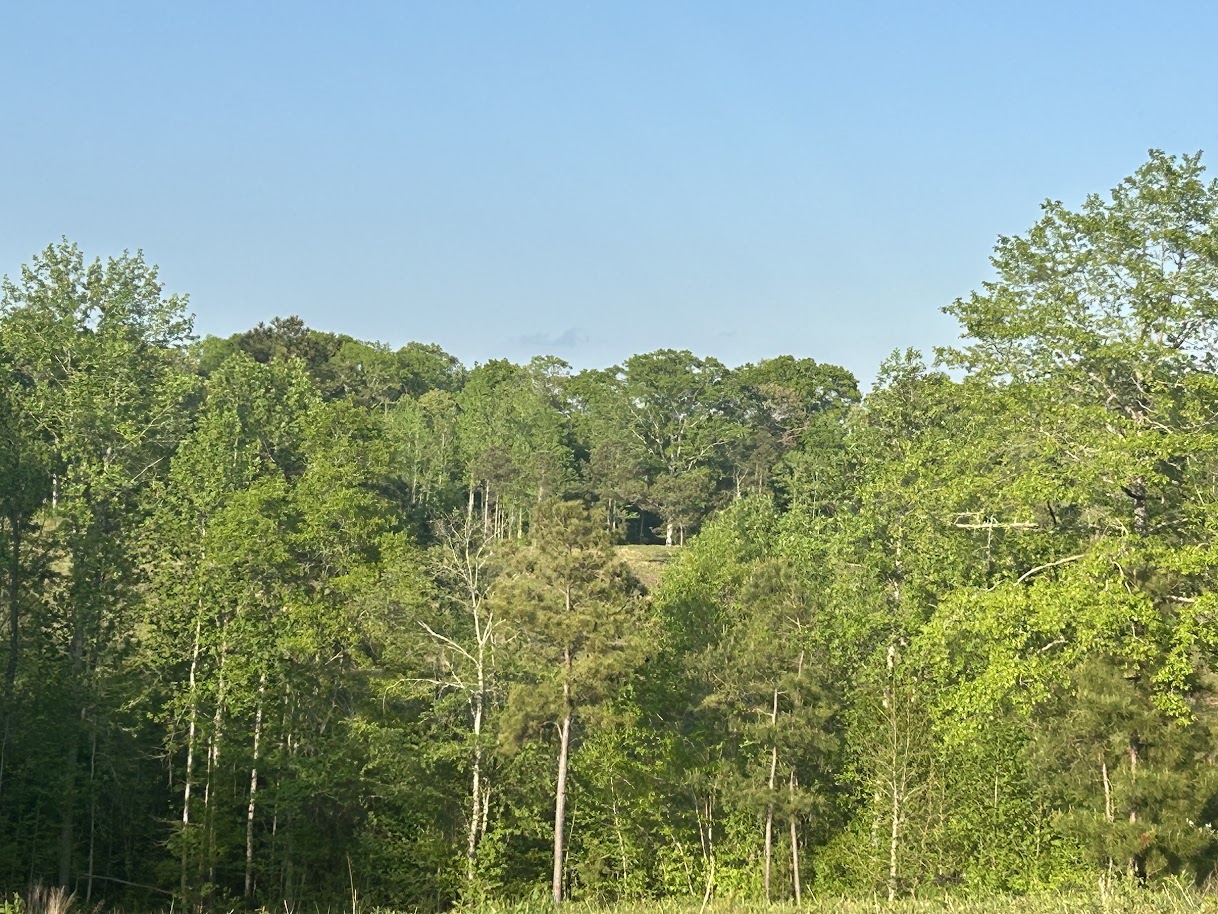 Roopville, Georgia, 30170, United States, ,Residential,For Sale,1780793