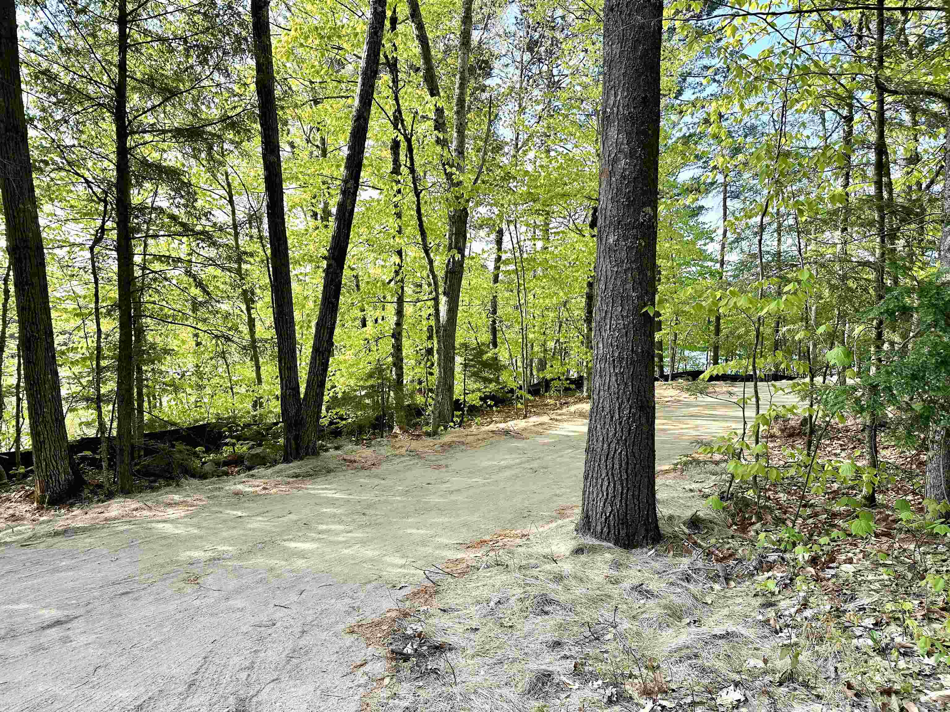 Springfield, New Hampshire, 03284, United States, ,Residential,For Sale,1941786