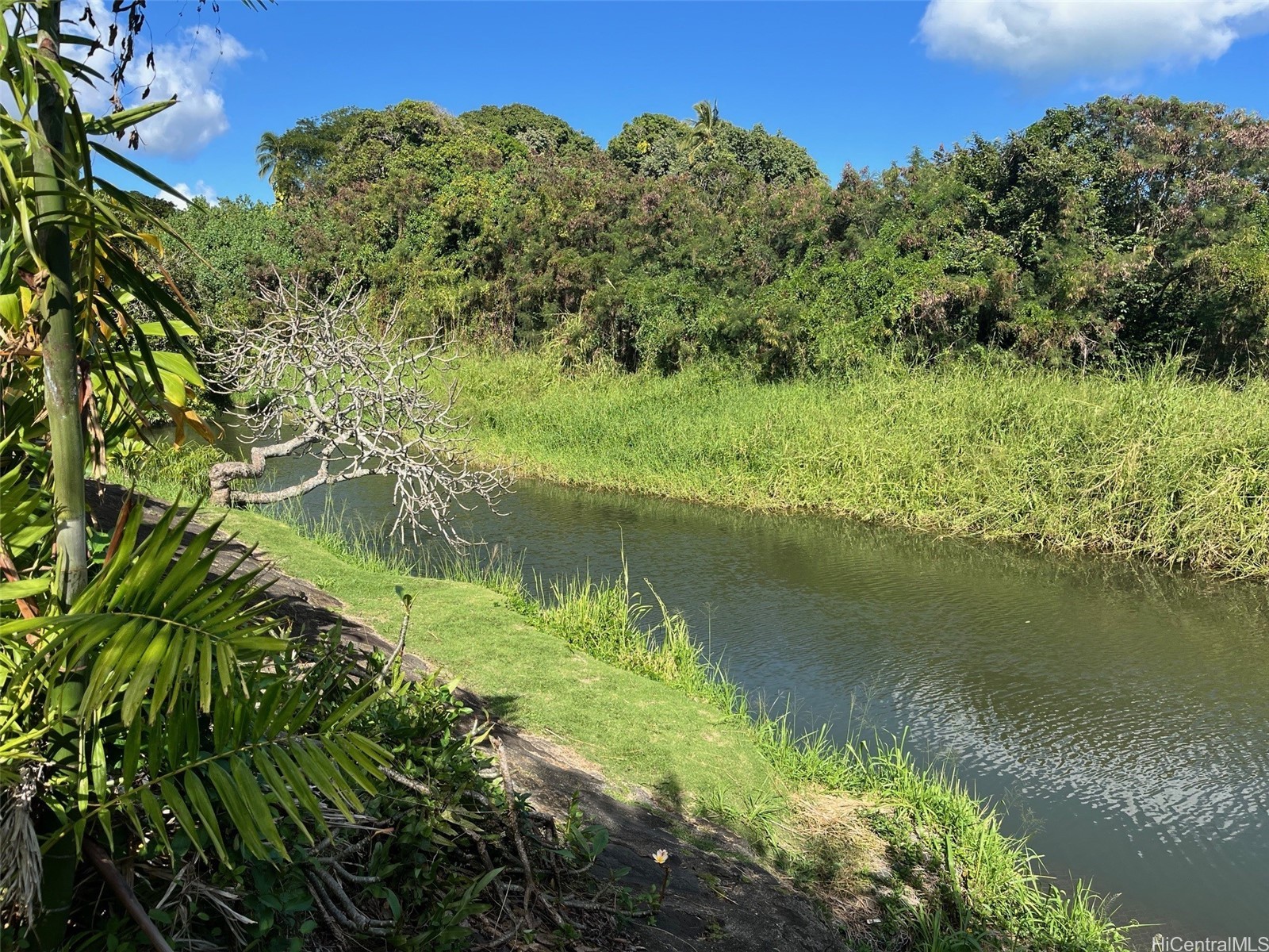 Kaneohe, Hawaii, 96744, United States, 6 Bedrooms Bedrooms, ,4 BathroomsBathrooms,Residential,For Sale,2002145