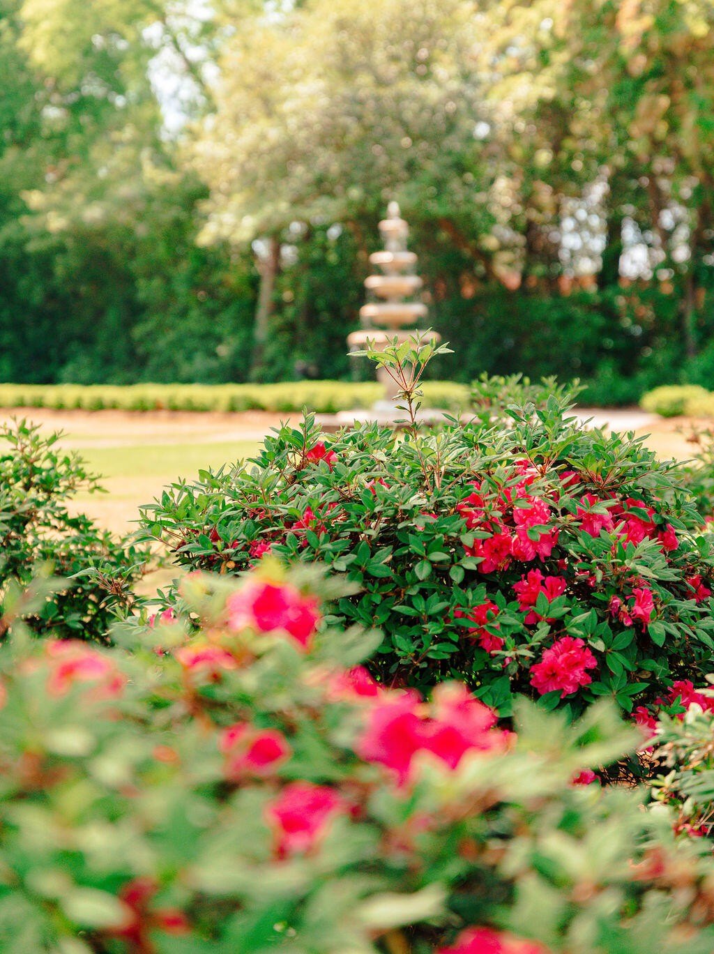 Sumter, South Carolina, 29150, United States, 4 Bedrooms Bedrooms, ,4 BathroomsBathrooms,Residential,For Sale,2005163