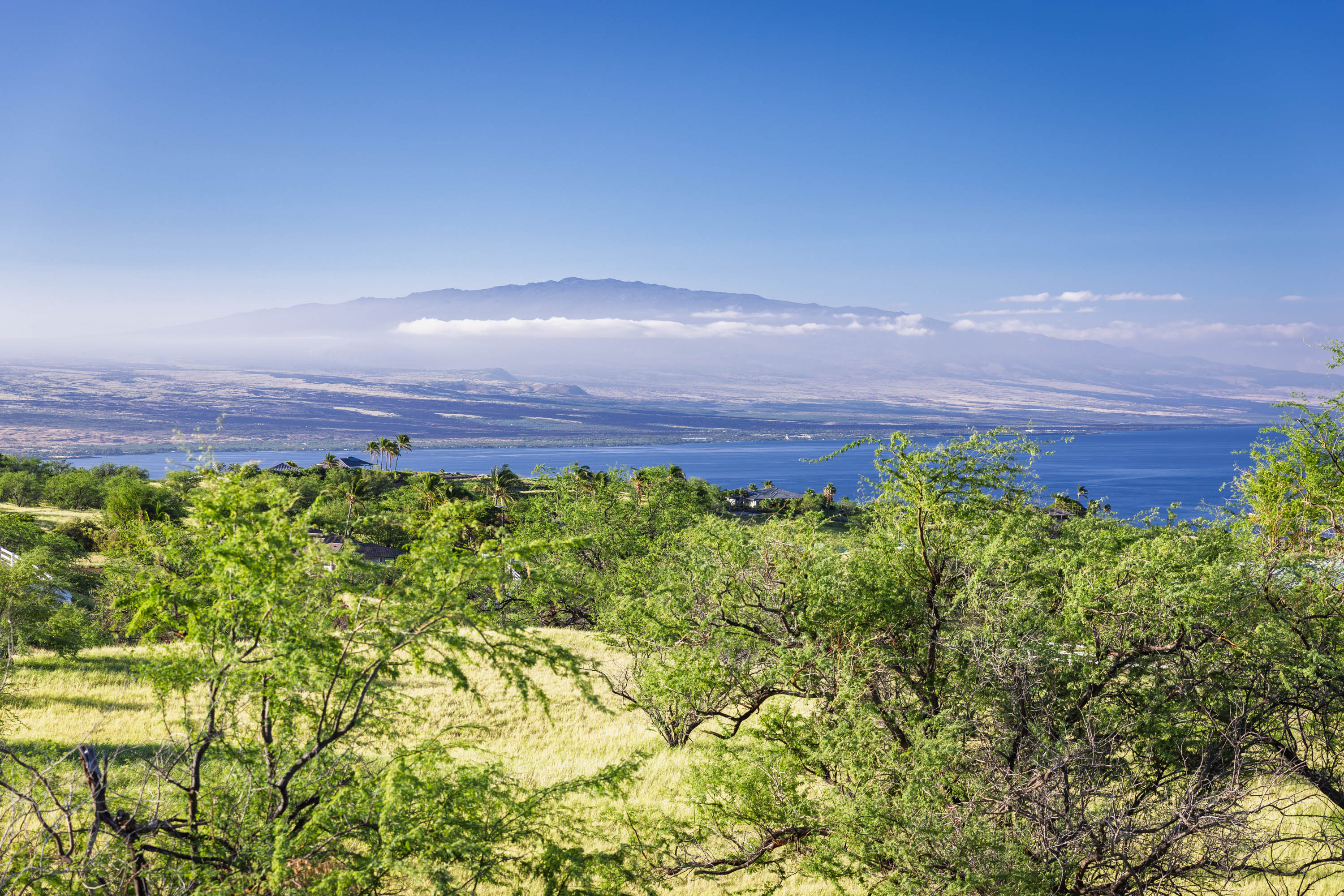  59-670 Kaala Road, Kamuela, HI, 96743 - 物件實景