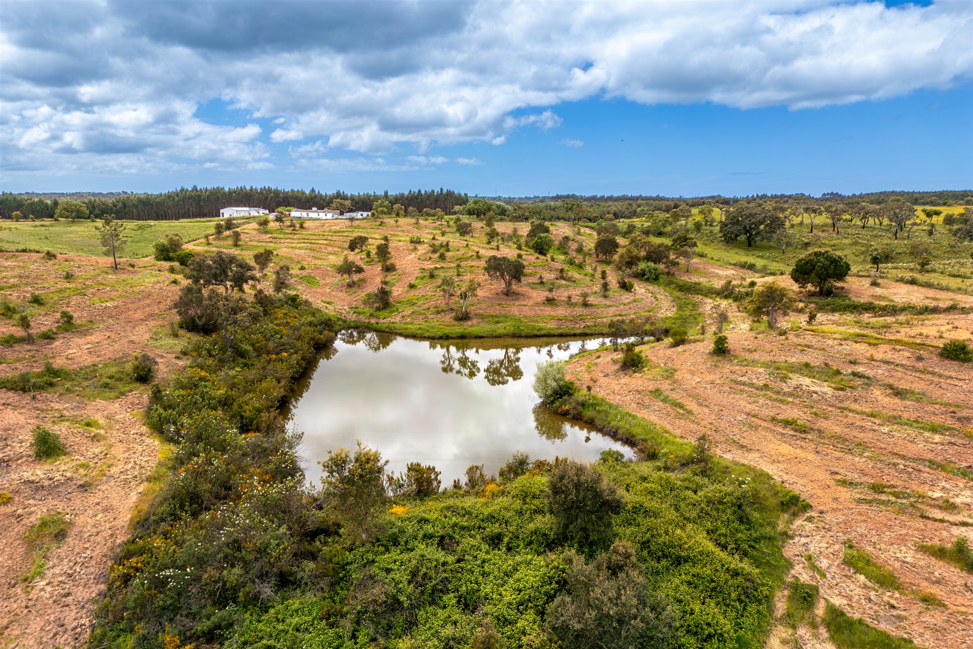  Stand for Sale - 物件實景