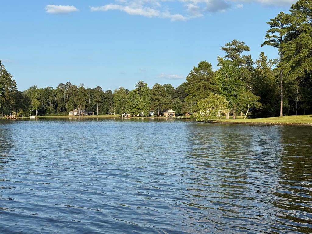 Americus, Georgia, 31719, United States, 4 Bedrooms Bedrooms, ,3 BathroomsBathrooms,Residential,For Sale,1982265